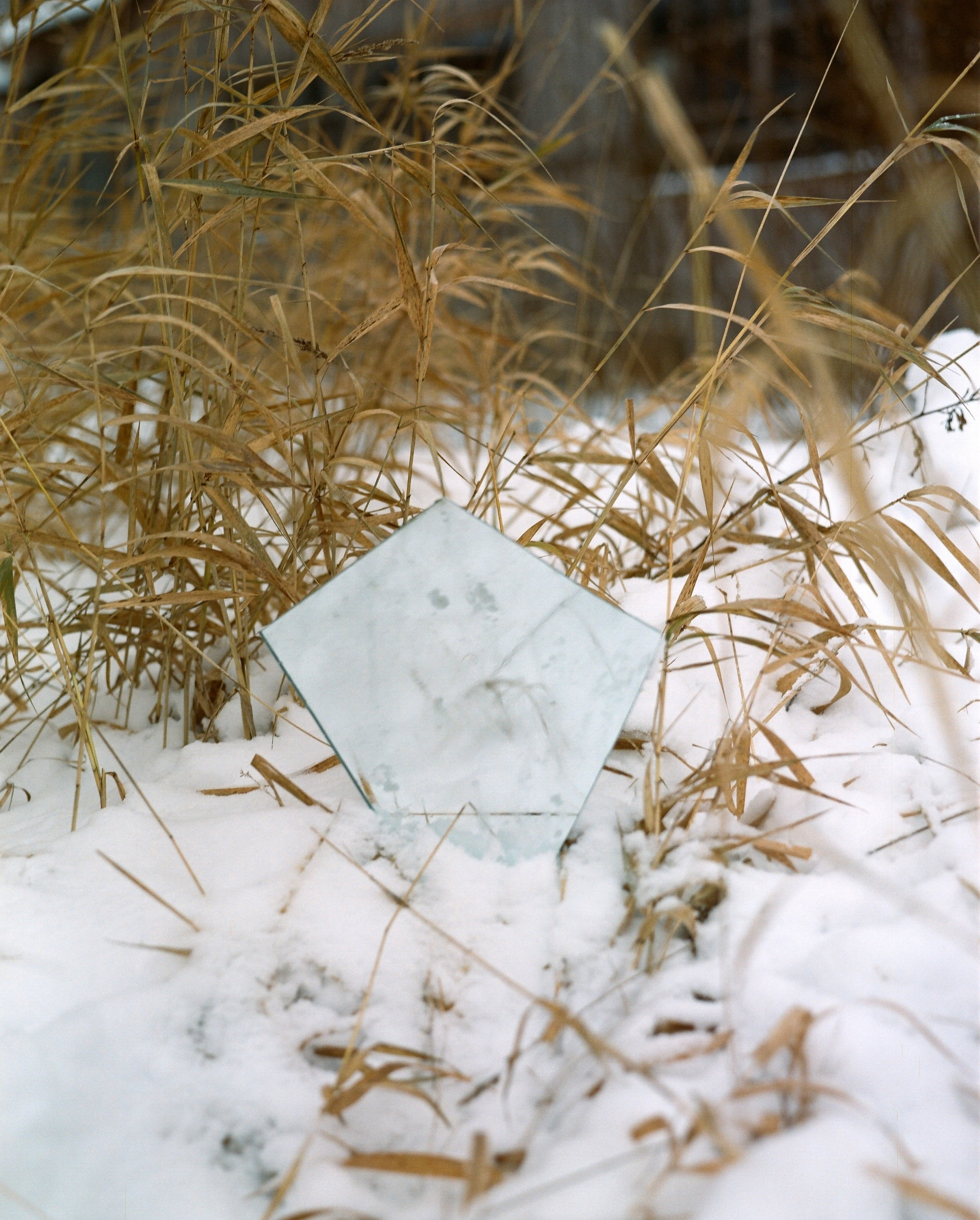 Дневник каньона. Екатерина Васильева художник, куратор и преподаватель