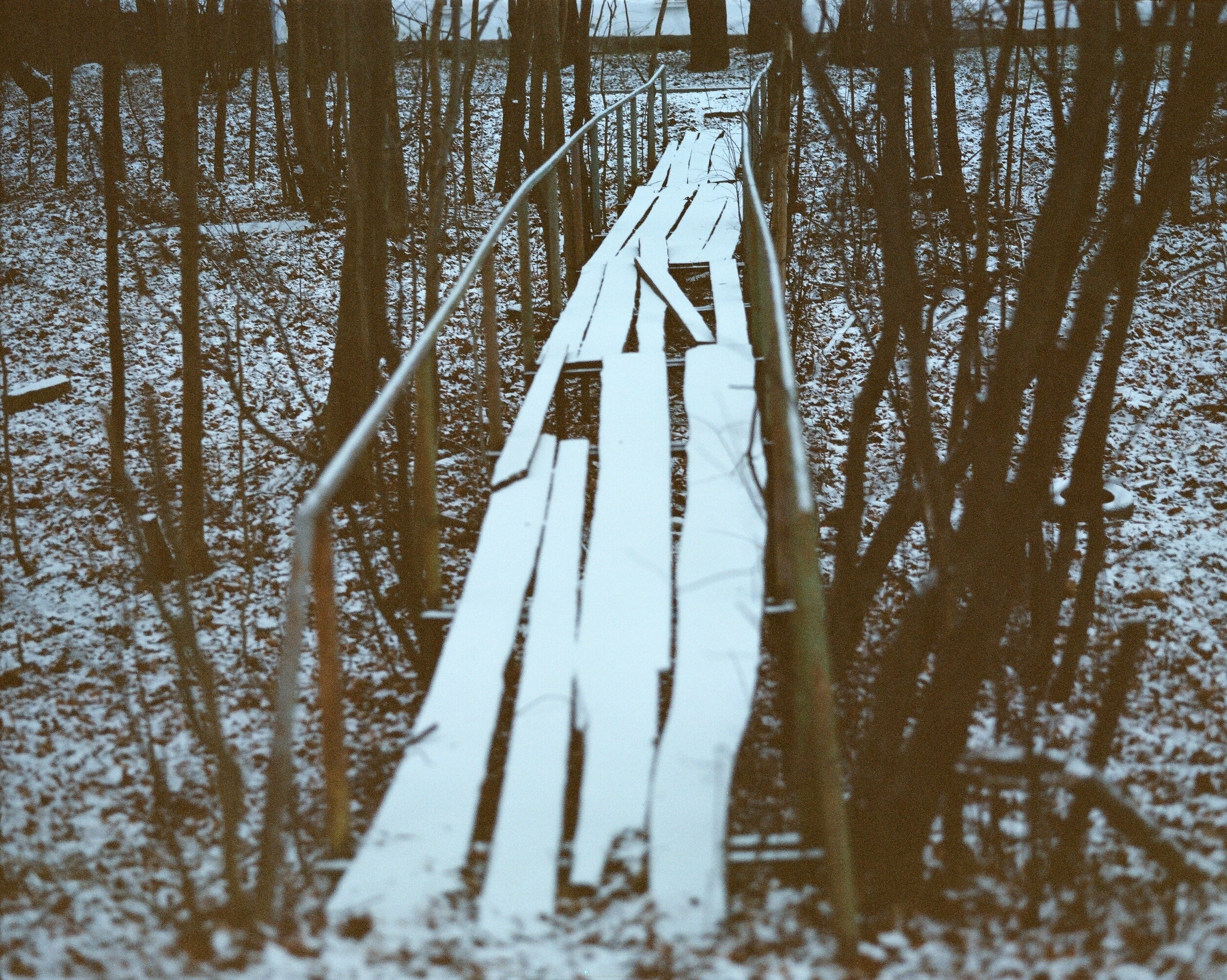 Дневник каньона. Екатерина Васильева художник, куратор и преподаватель