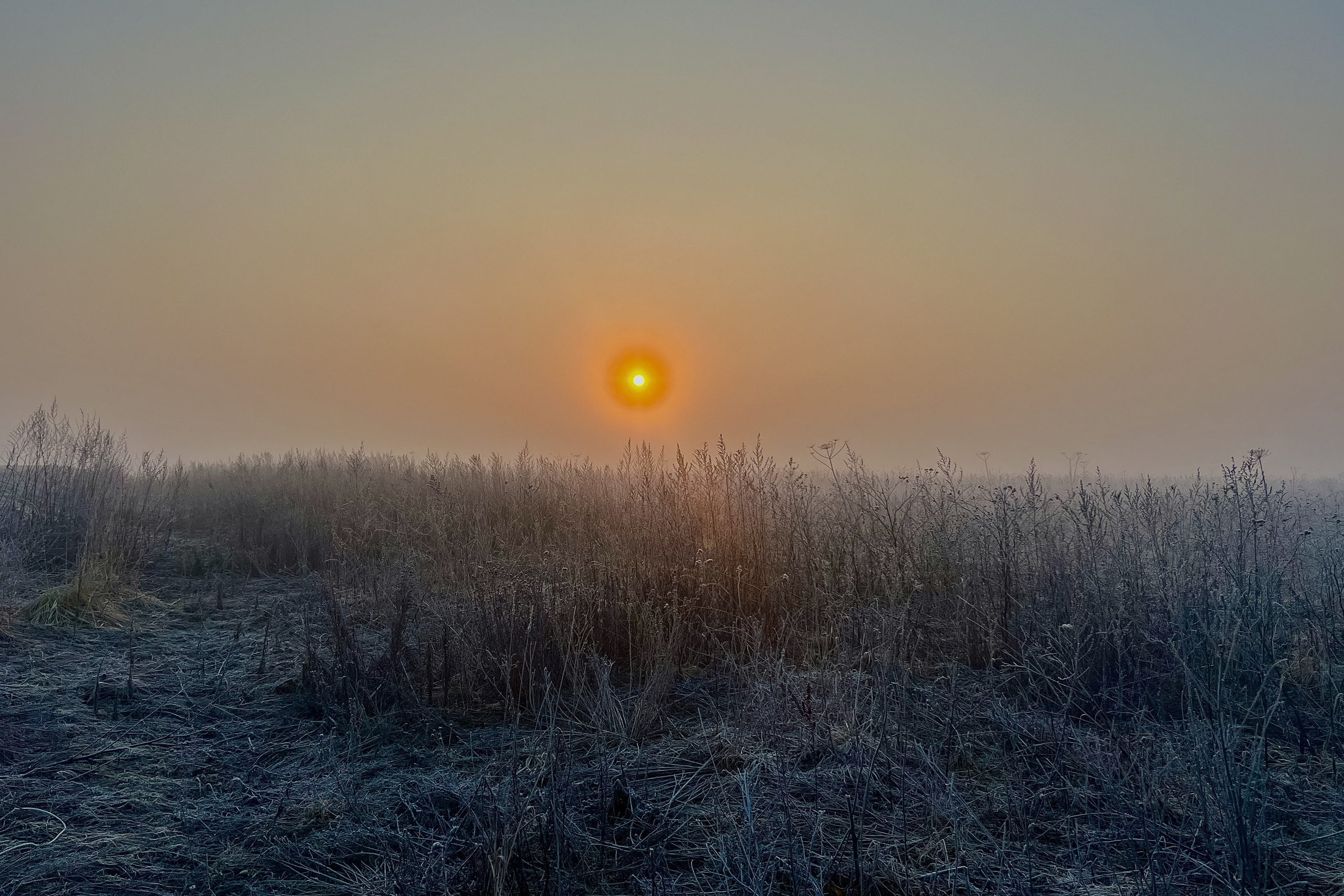 Семейный, уличный и пейзажный фотограф в Москве Никифоров Виктор