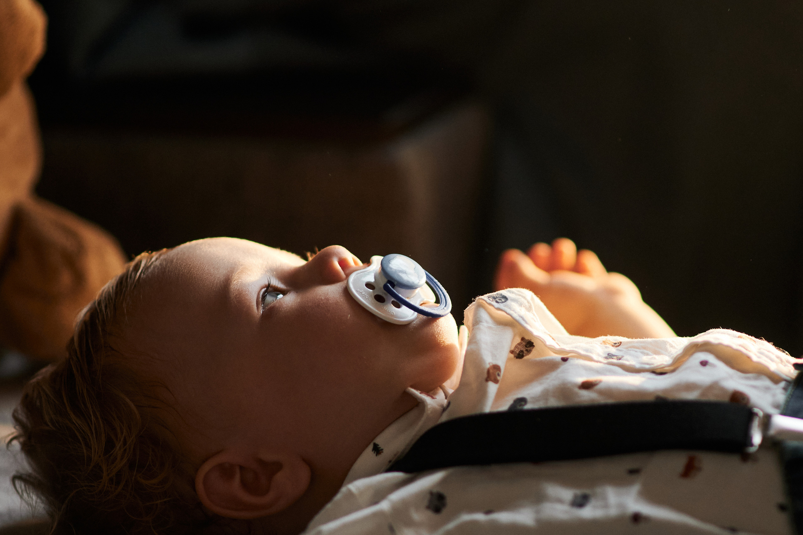 Вова, Настя и Владимир Владимирович. Свадебный и семейный фотограф в Ростове-на-Дону