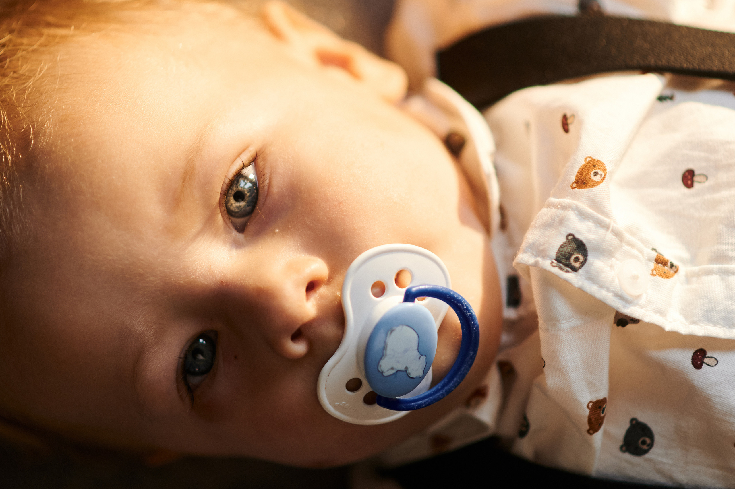 Вова, Настя и Владимир Владимирович. Свадебный и семейный фотограф в Ростове-на-Дону