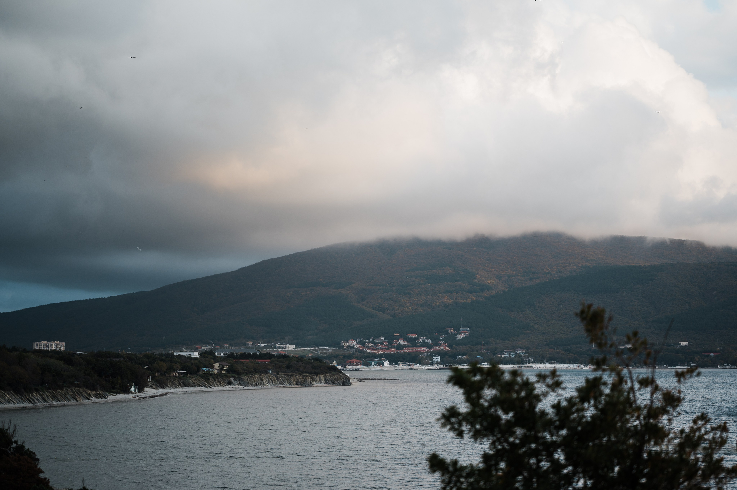 История любви Семёна и Елизаветы. Свадебный и семейный фотограф в Краснодаре Марина Стёпа
