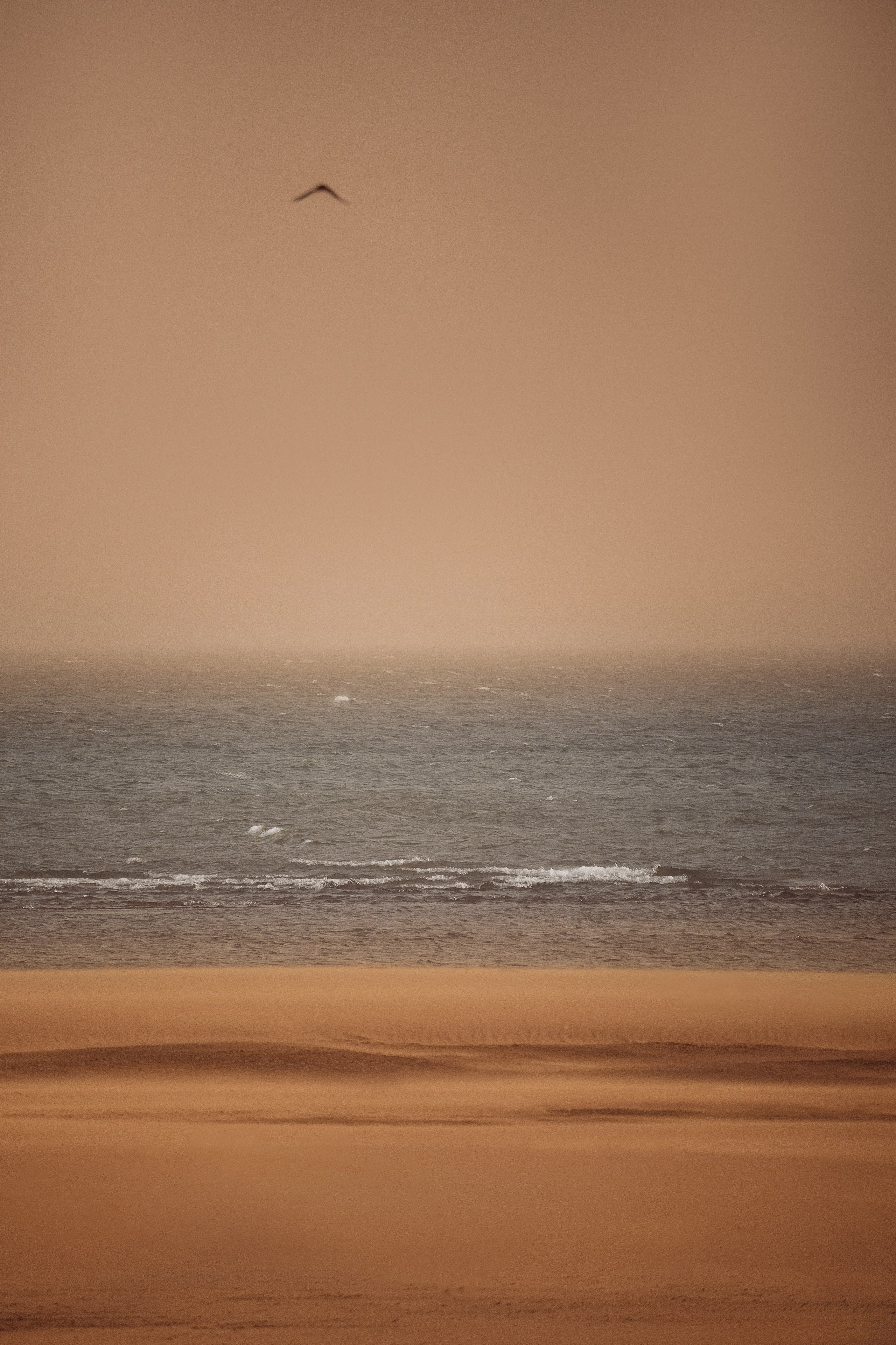 Жизнь. Фотограф Алматы | Весь мир — Никита Колодин