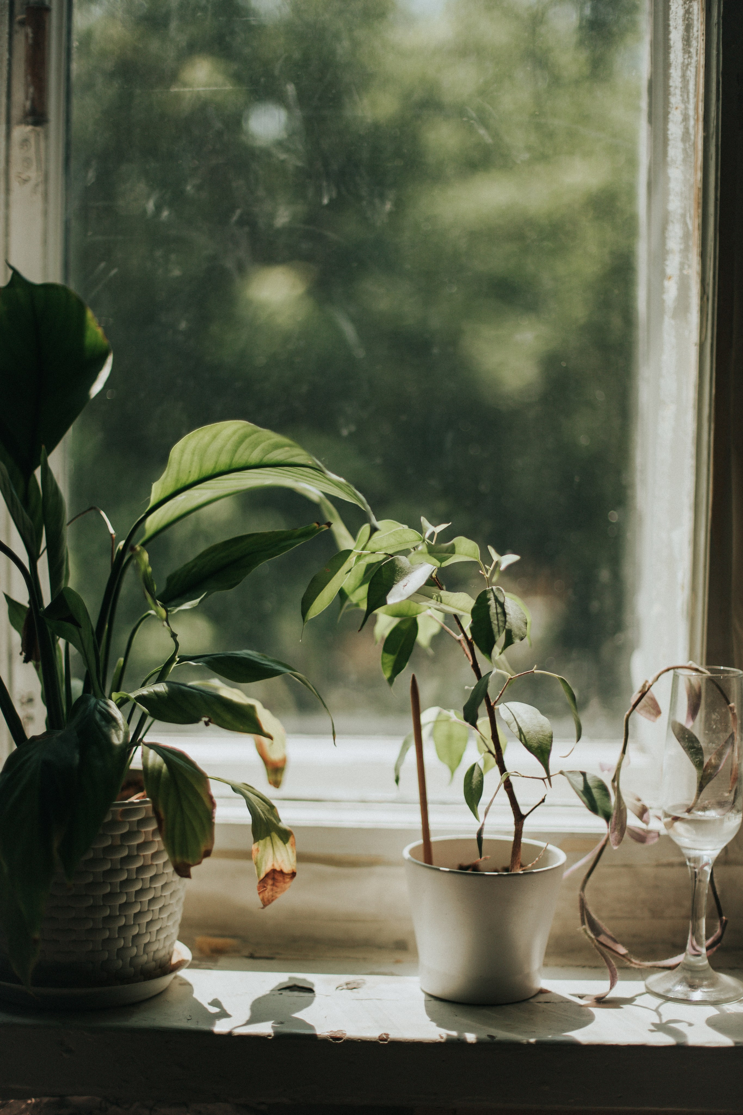 Юля Заковеря. Фотограф в Нижнем Новгороде