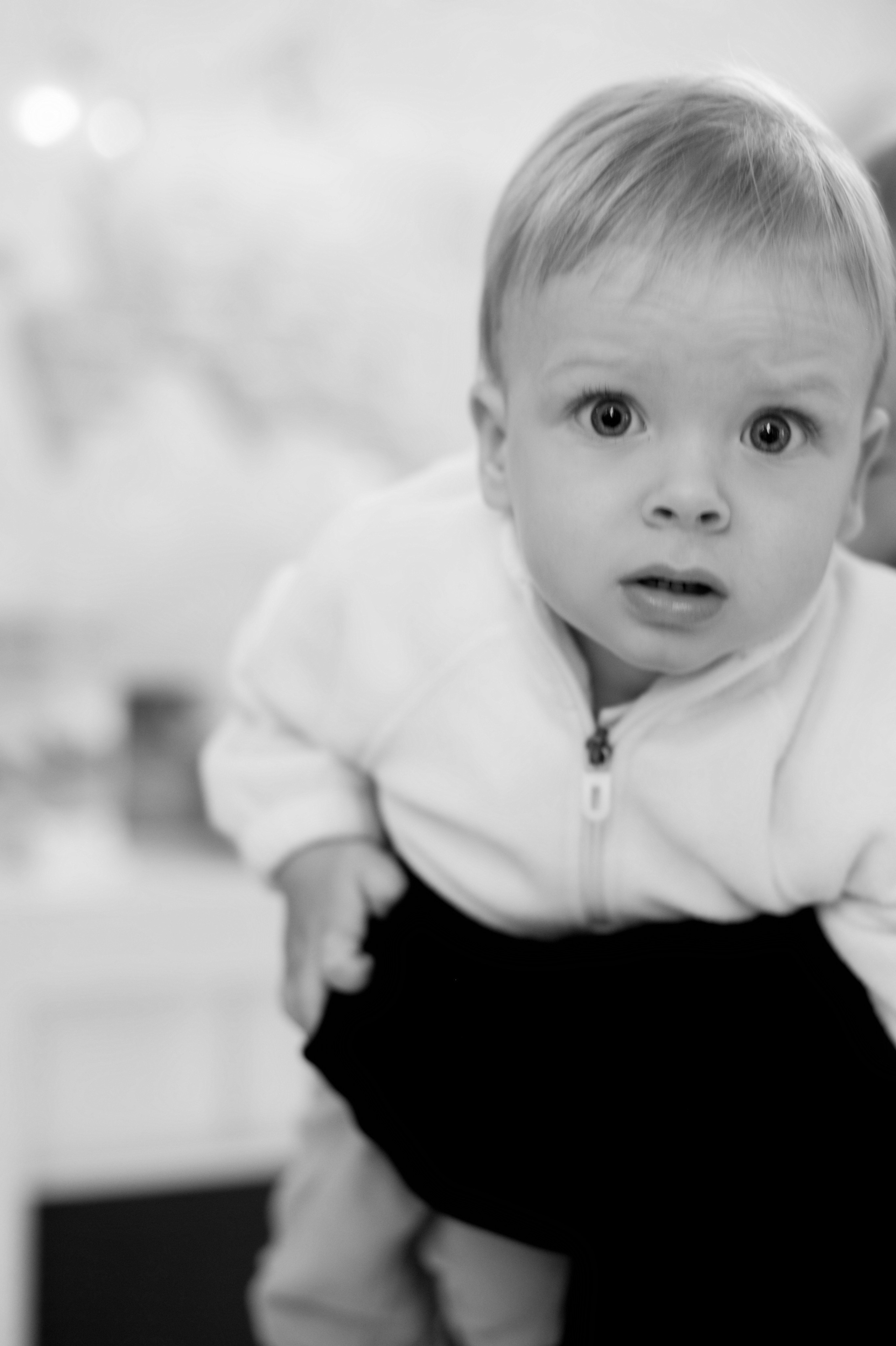 Выписка «Лапино»