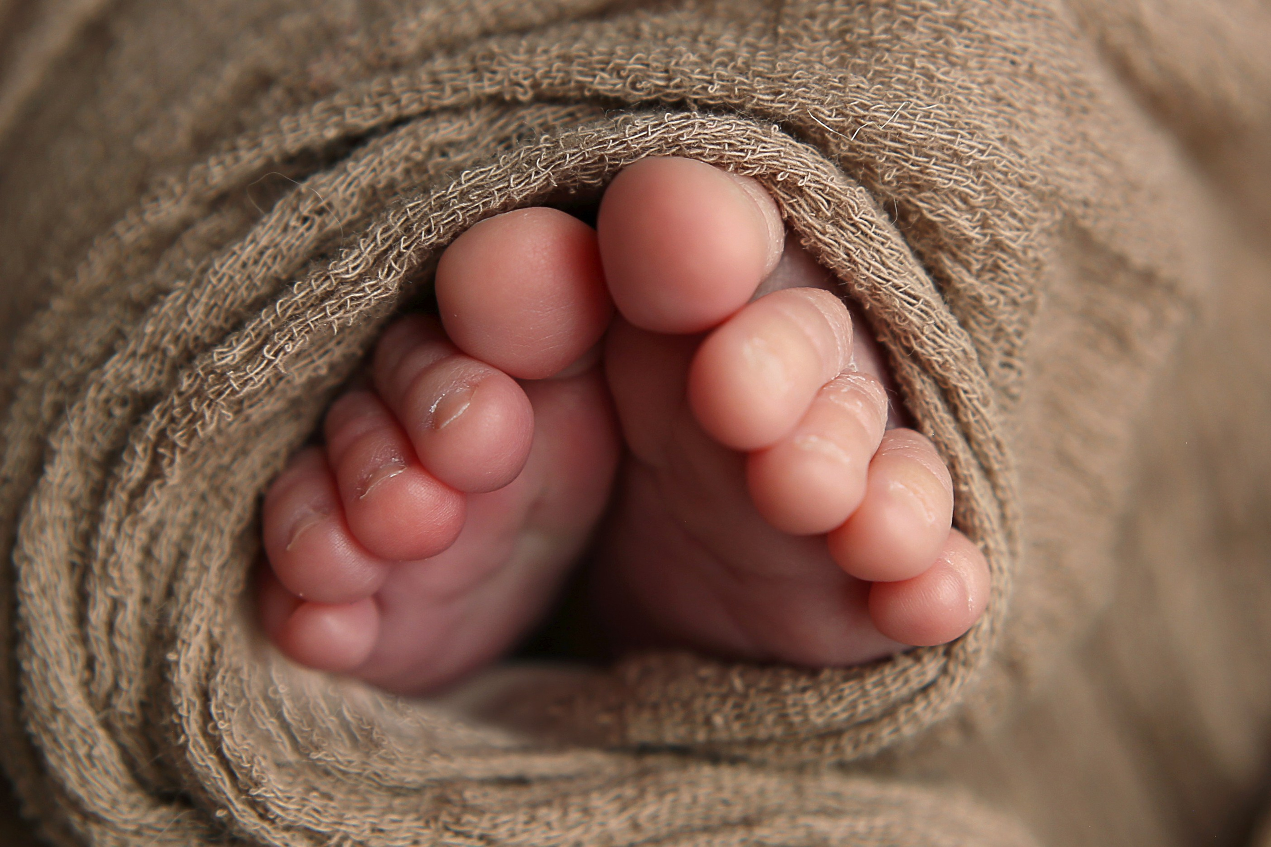 АГАТА (новорожденные). Главная