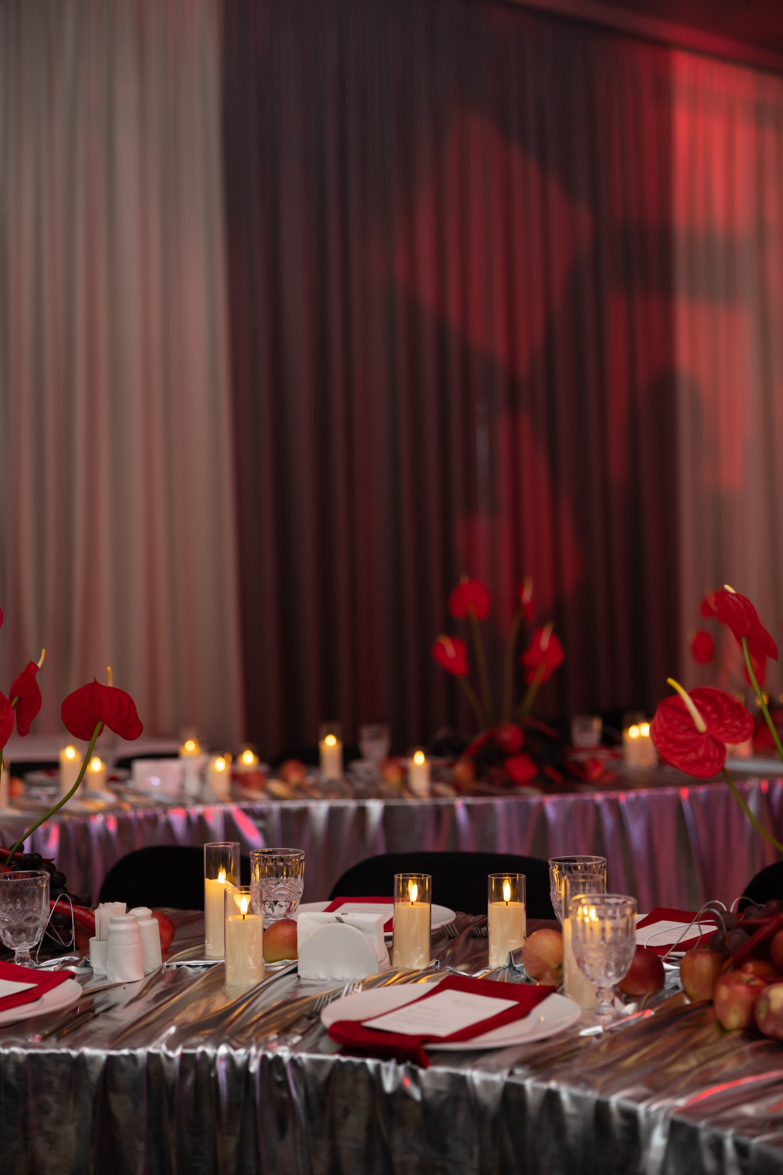 Галла ужин 16.02. Фотограф Элла Ефимова