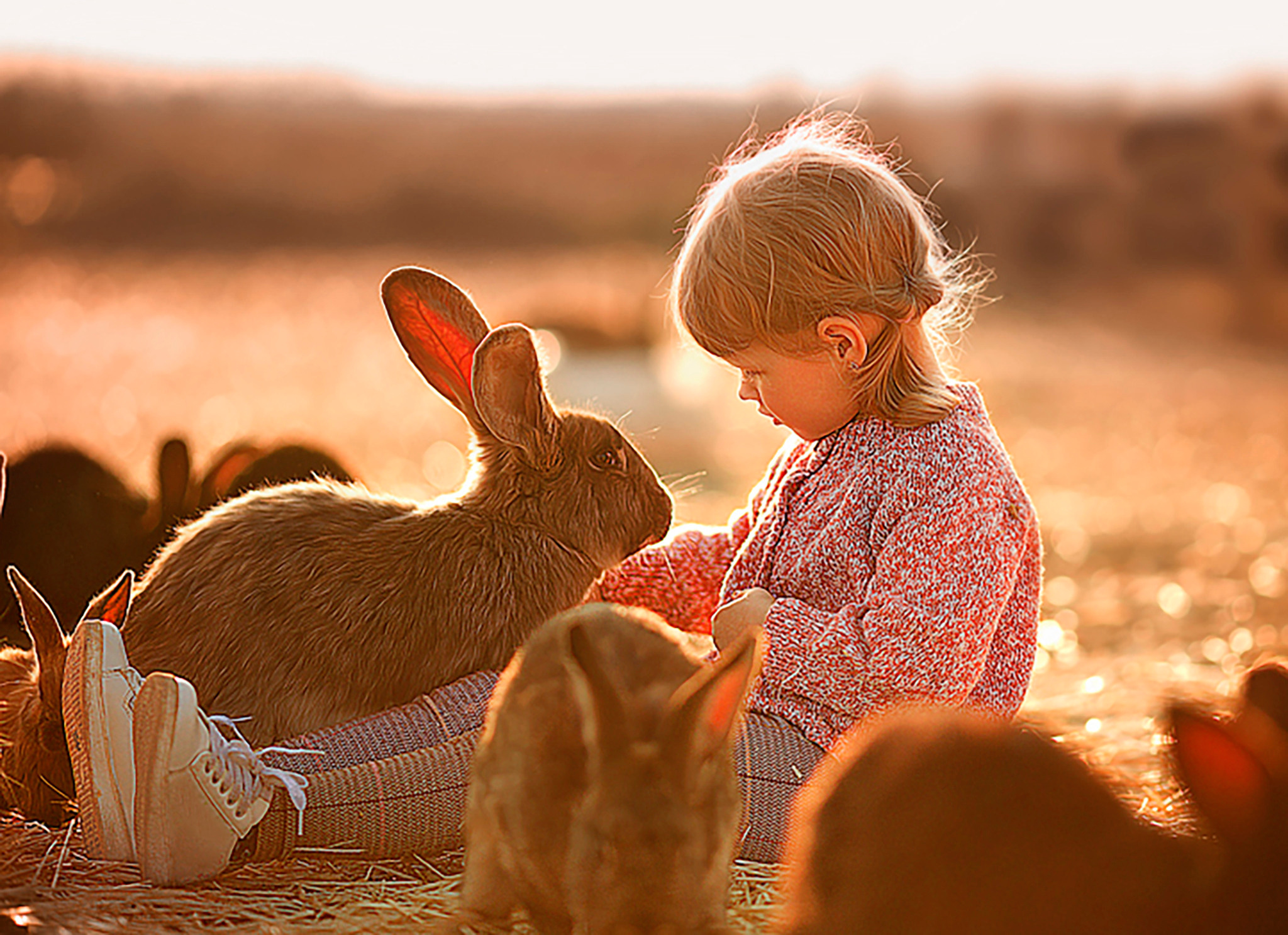 Детский портрет. Степанова Анна.Детский и семейный фотограф Крым
