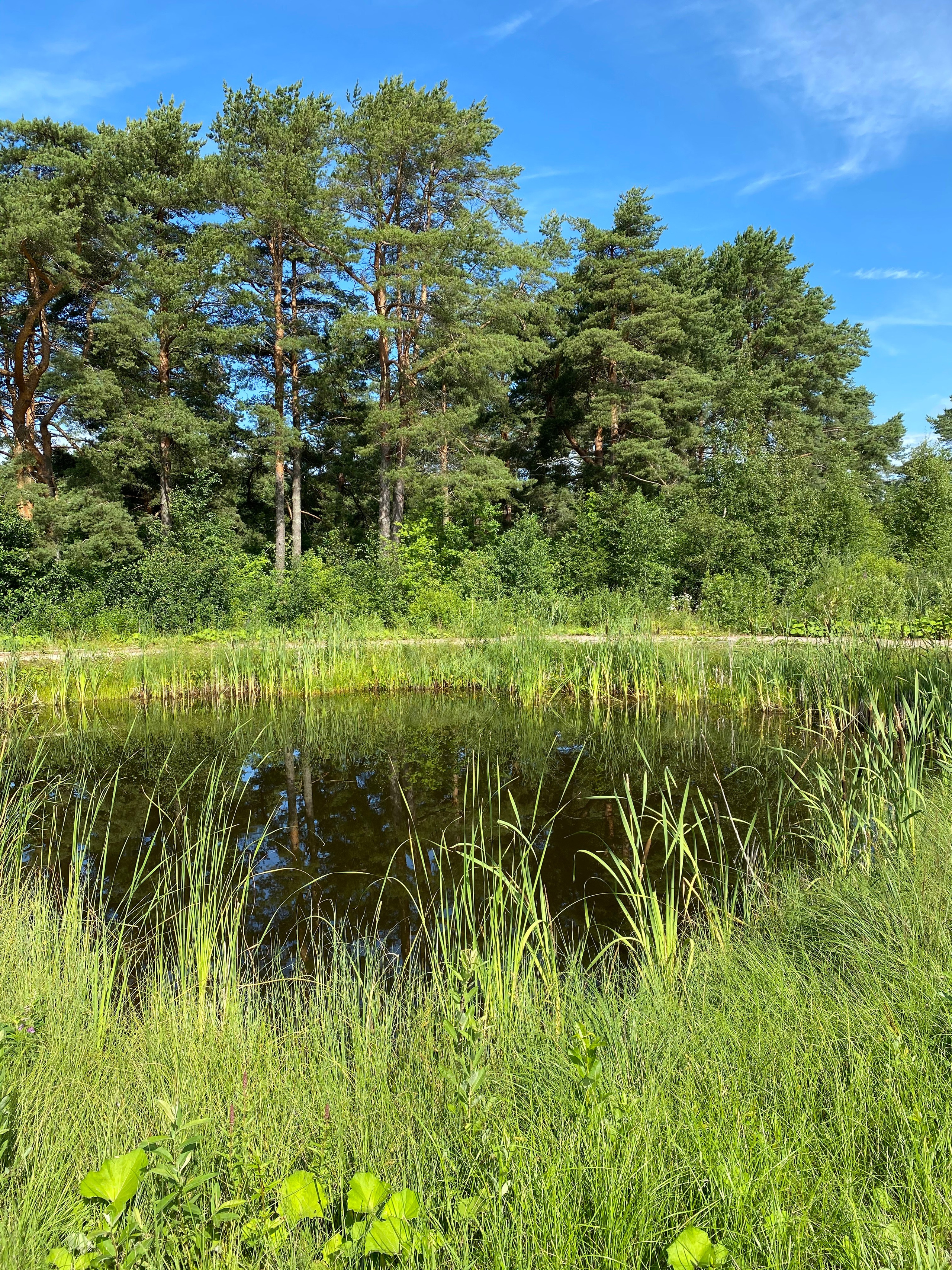 Териберка — 20. Своя Мастерская