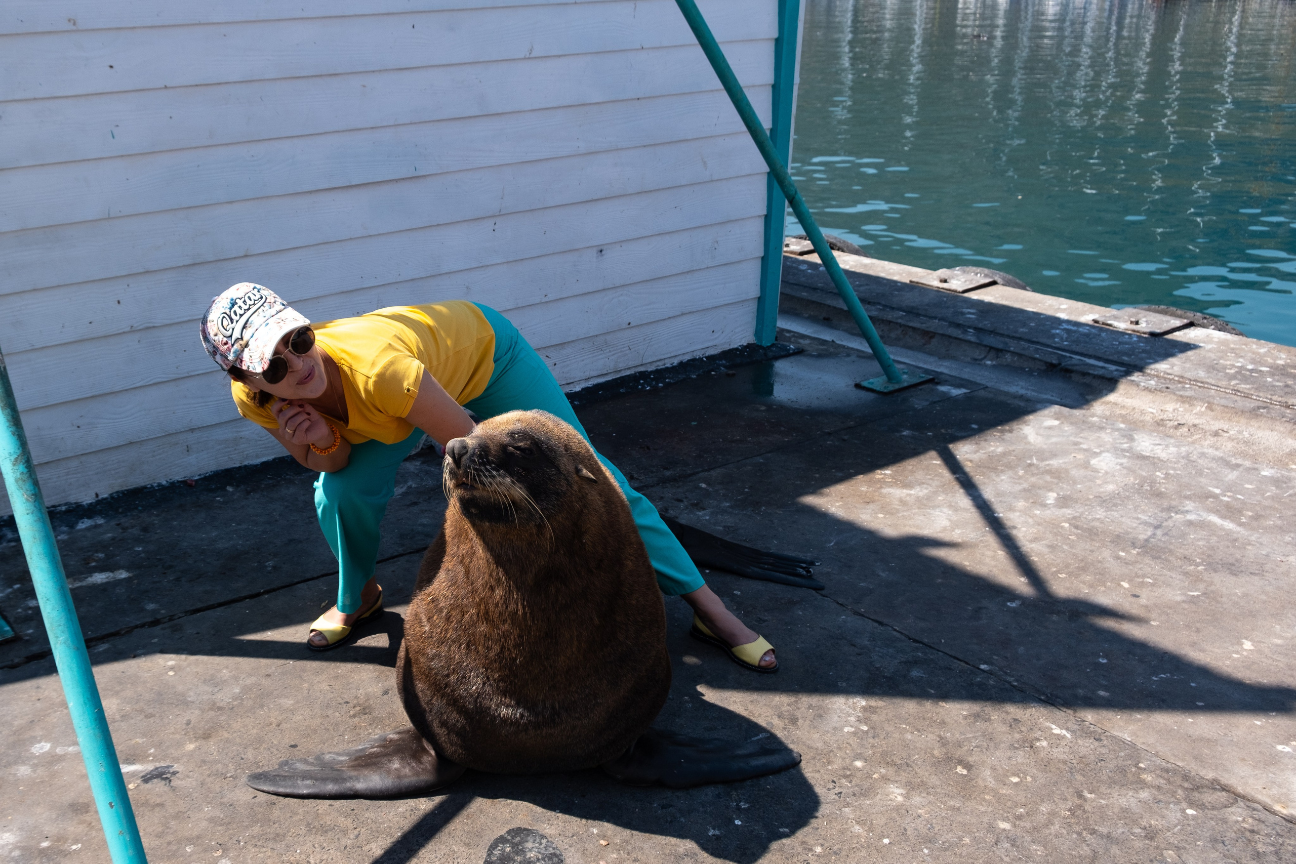 Морские котики и закат. Фотографии из путешествий