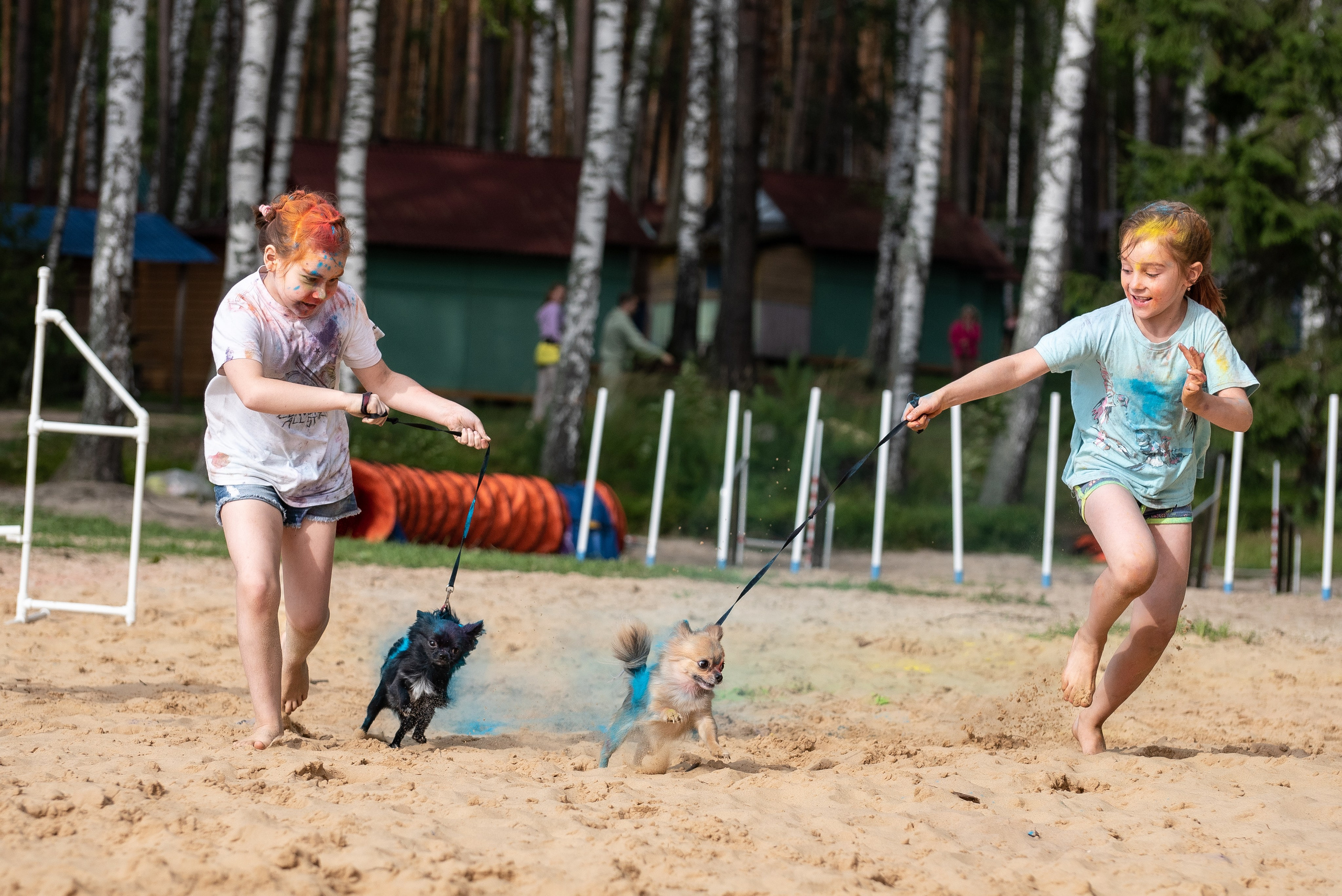 Всплеск эмоций 2023 Кинологический фестиваль. Фотограф Макс Огурцов в Нижнем Новгороде