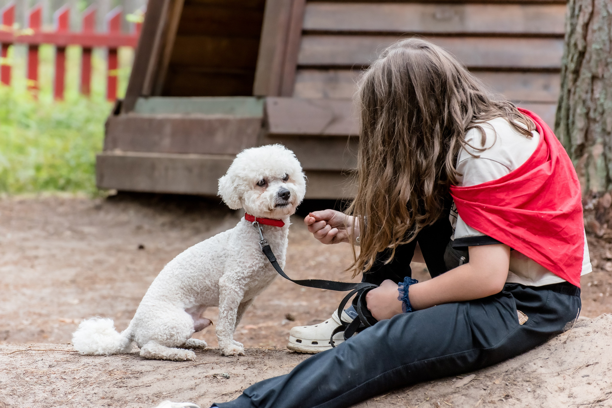 Хвостатые каникулы Детский кинологический лагерь. Фотограф Макс Огурцов в Нижнем Новгороде