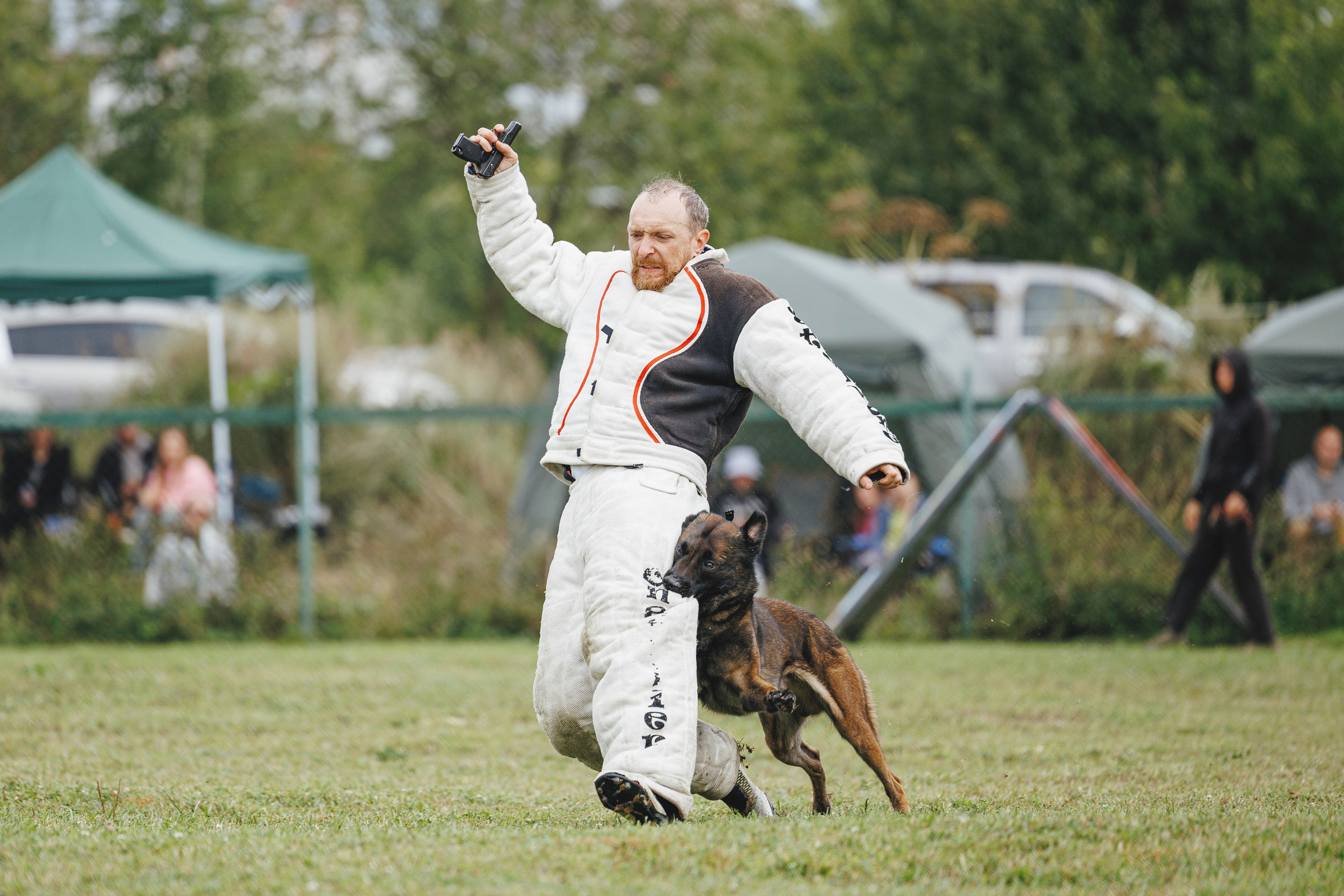 08.08.25-10.08.25 ЧР по мондьорингу г. Вологда. Фотограф-анималист Анна Маринич