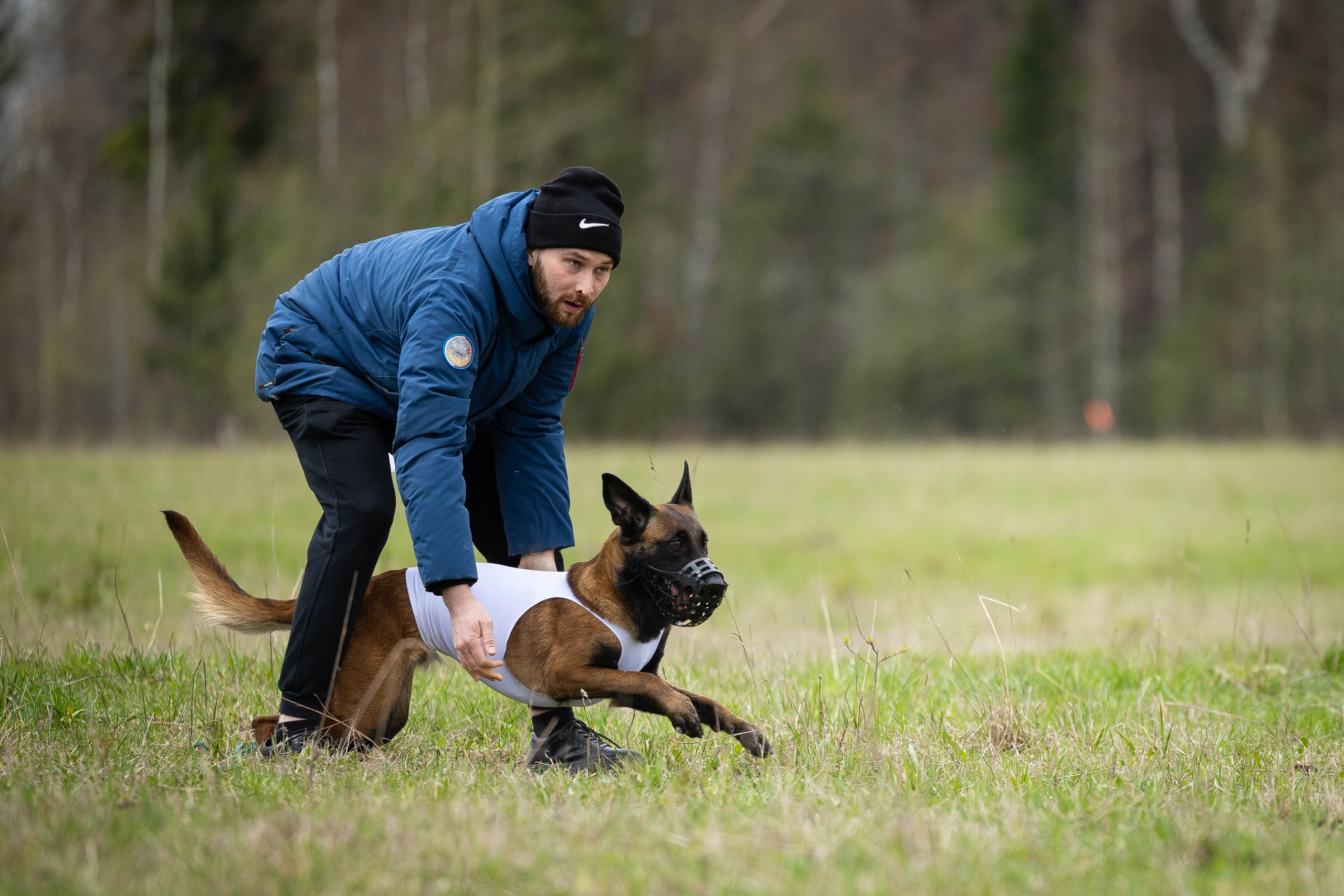 Курсинг. Фотограф Анималист в Перми Анастасия Остерман