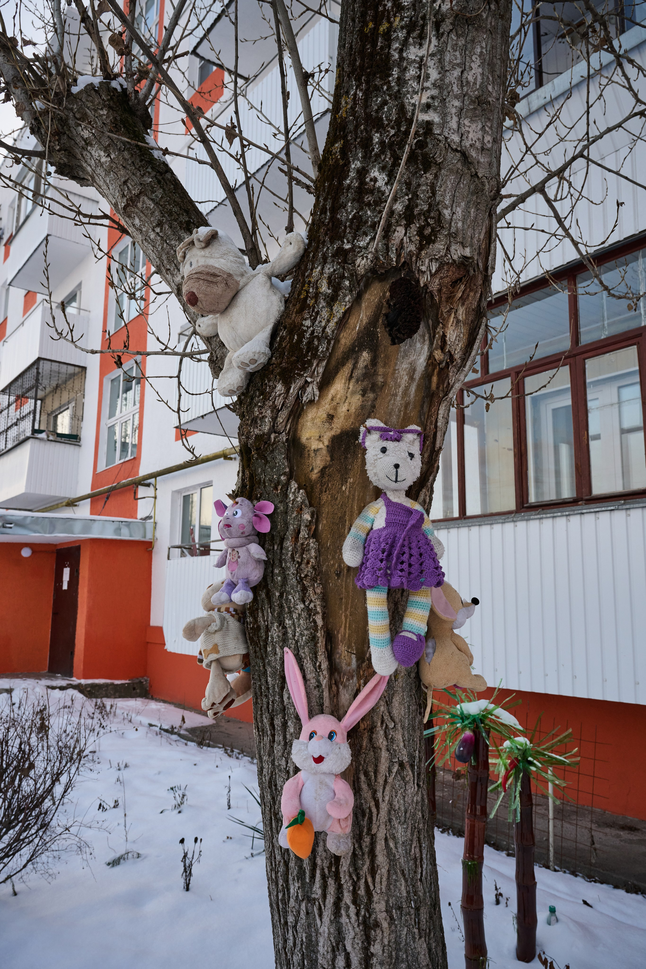 Рубежное. Январь 2026. Фотограф Роман Адлер