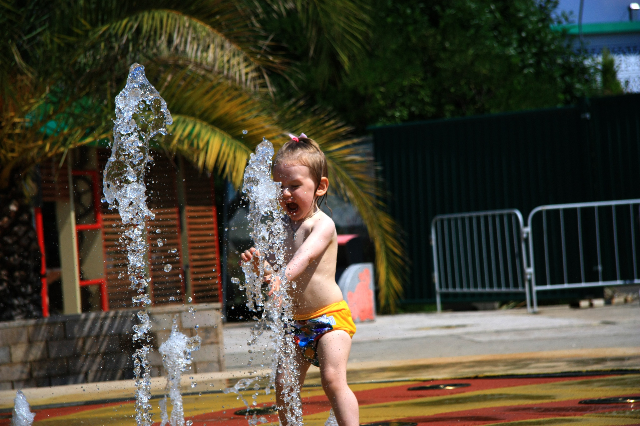 Первые кадры. Сочи — парк. Фотограф Роман Адлер