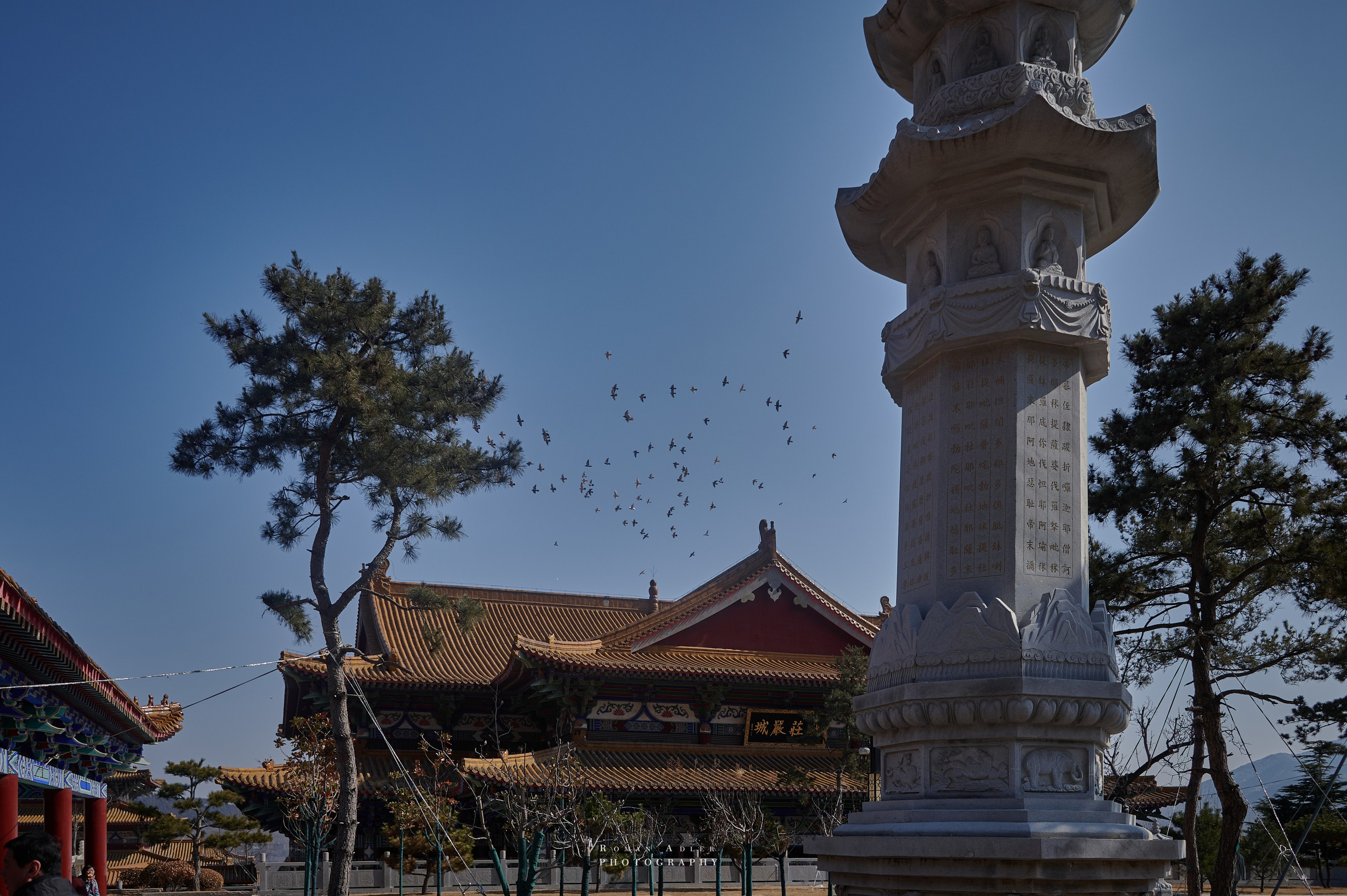 Храм Гуанфу (Процветания). Цинчжоу. Фотограф Роман Адлер