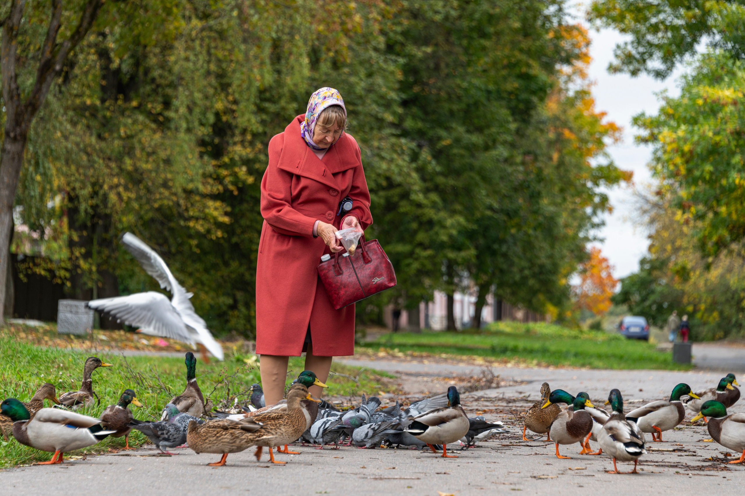 Псков. Октябрь 2023. Фотограф Роман Адлер
