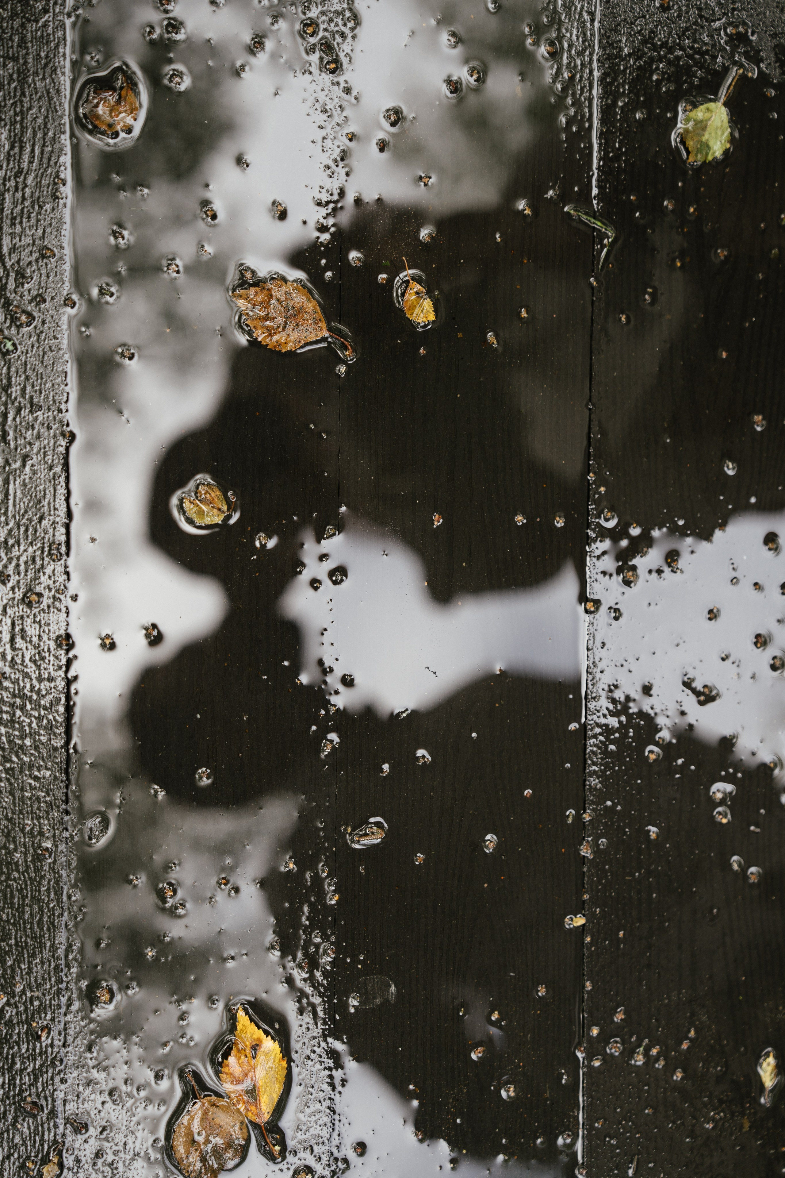 Валерия & Павел. Яркая свадьба в стиле модерн на природе. Свадебный фотограф организатор в Санкт-Петербурге Ассоль Опарина