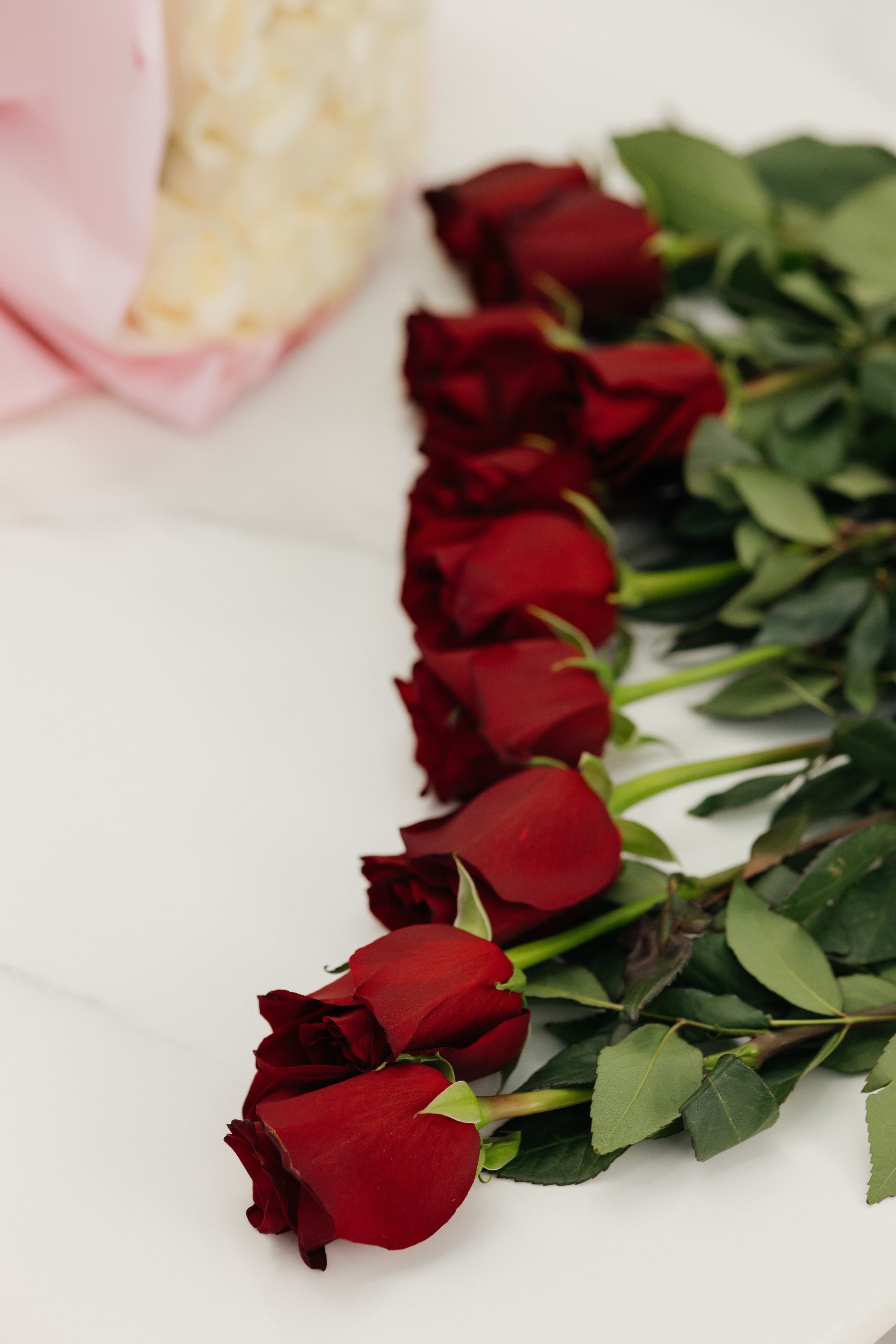 Uzatu Venera. Baikulov