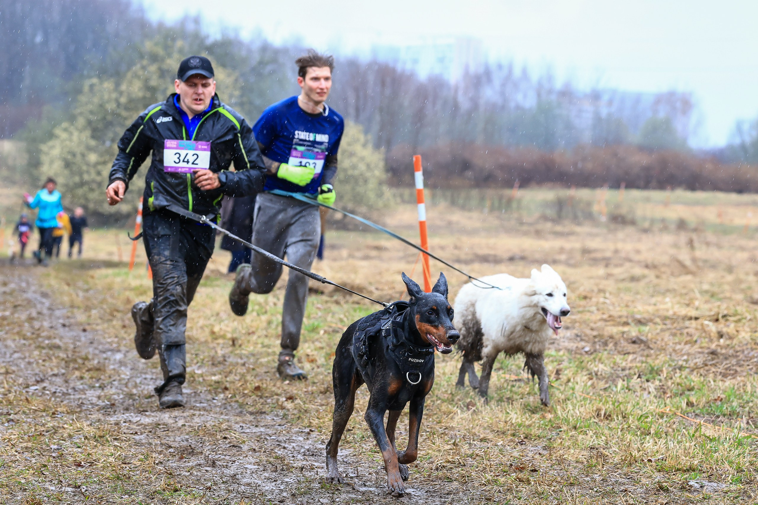 Быстрый Пёс!. Свадебная фотосъёмка в Москве, Туле