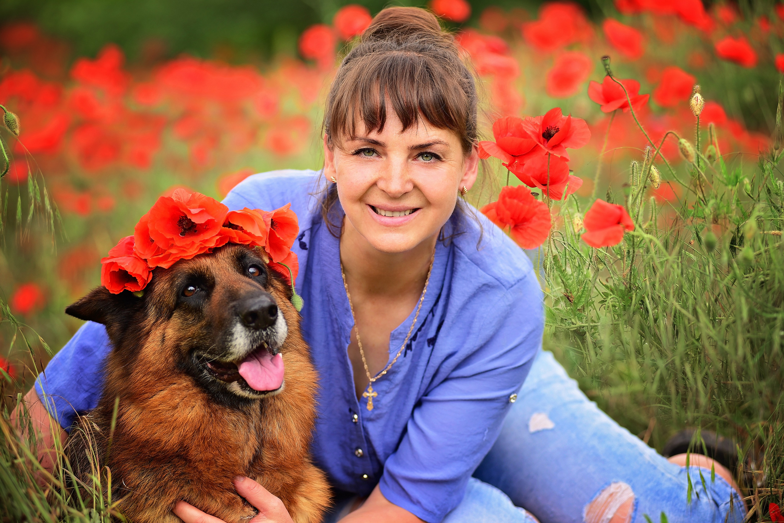 Маки. Главная