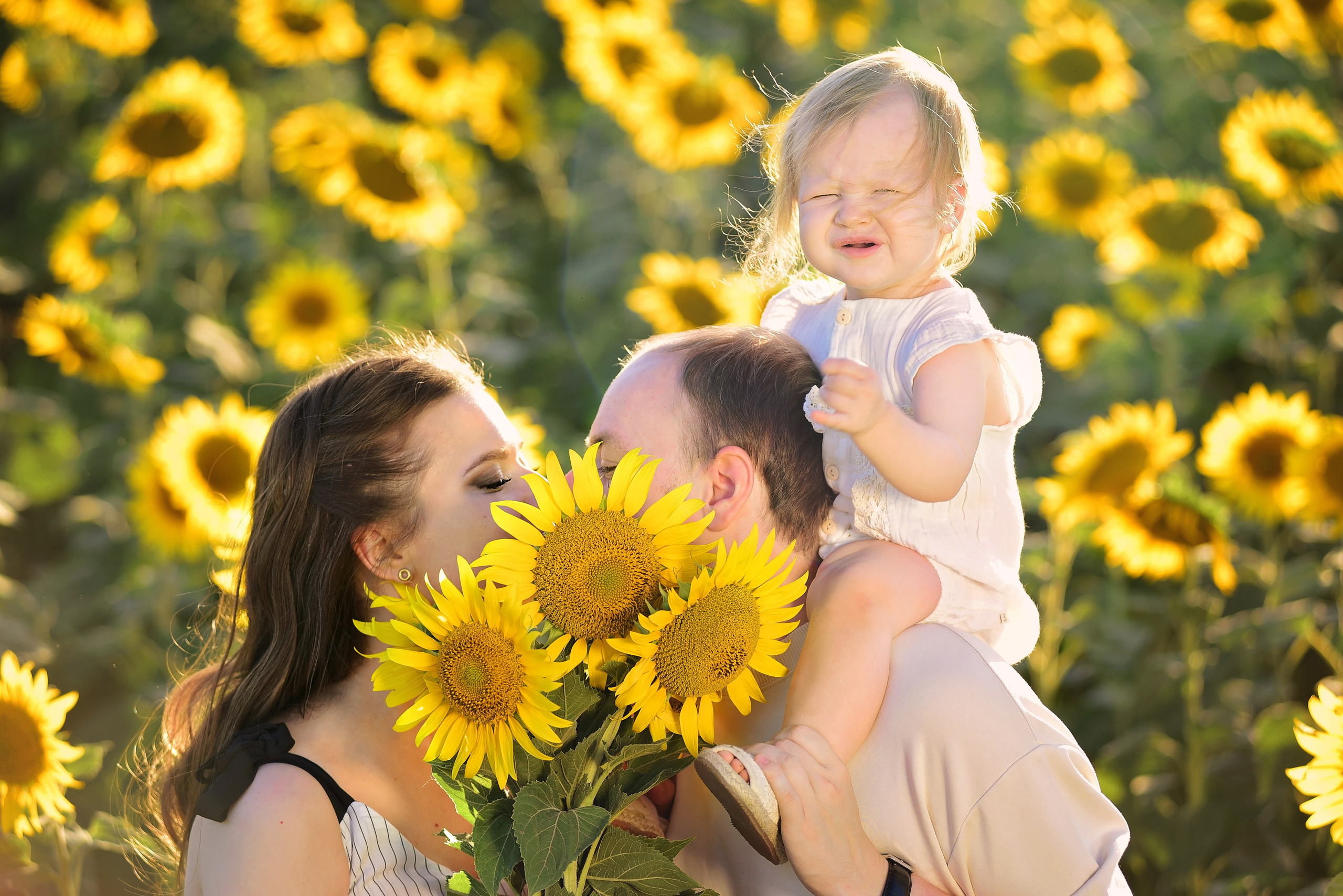 Подсолнухи. Главная