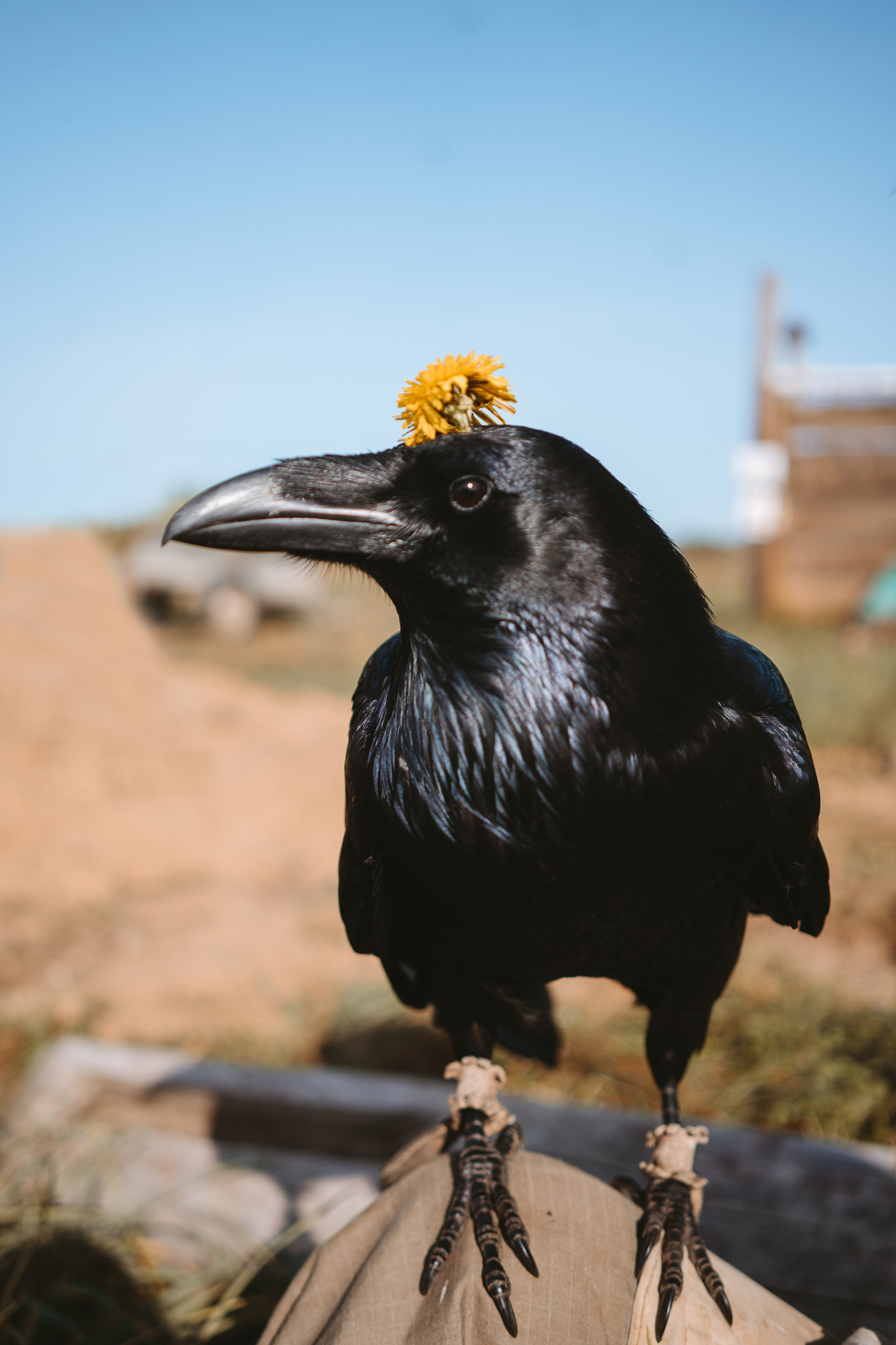 Художественные. Главная