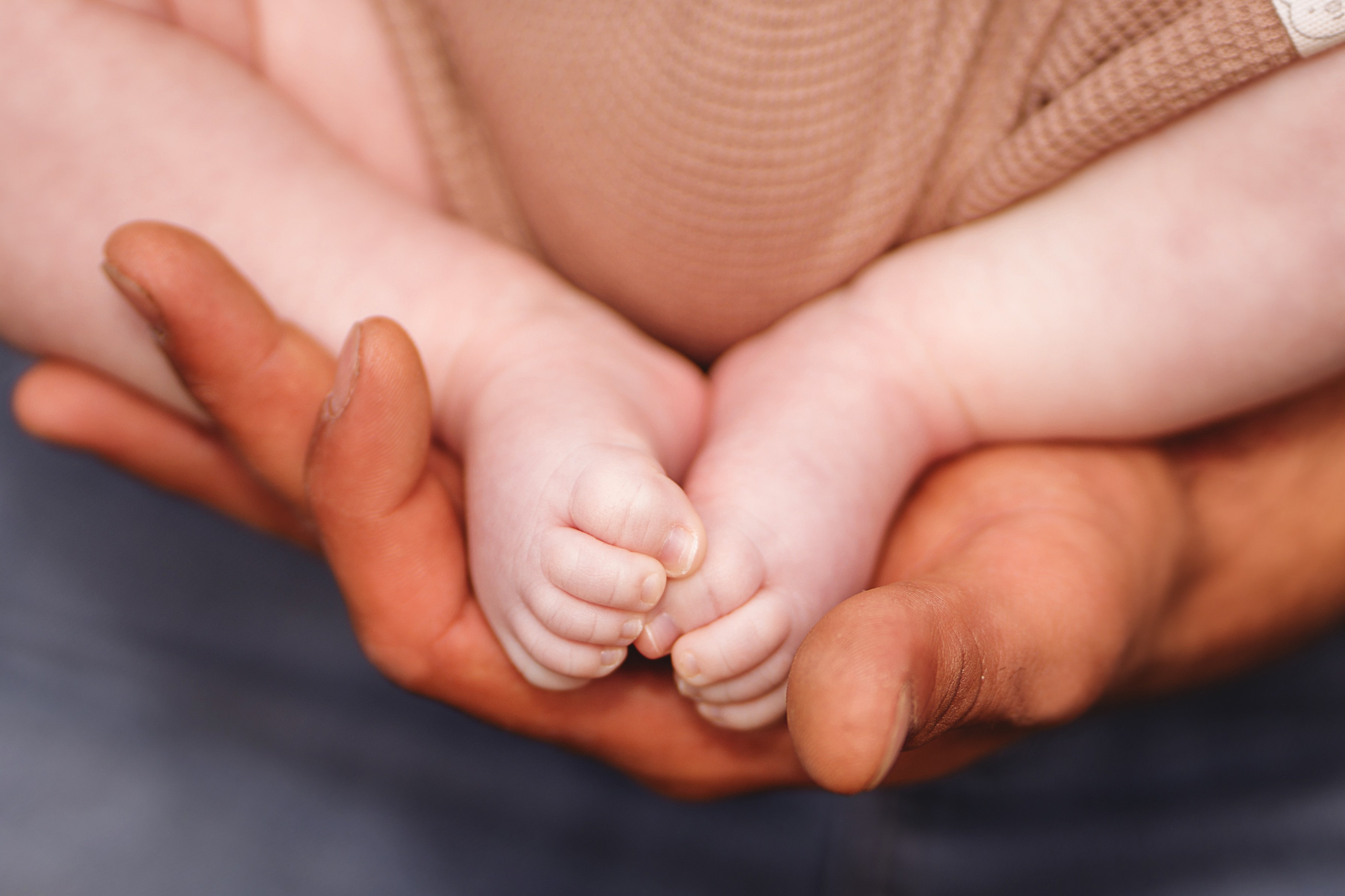 Семейные. Главная