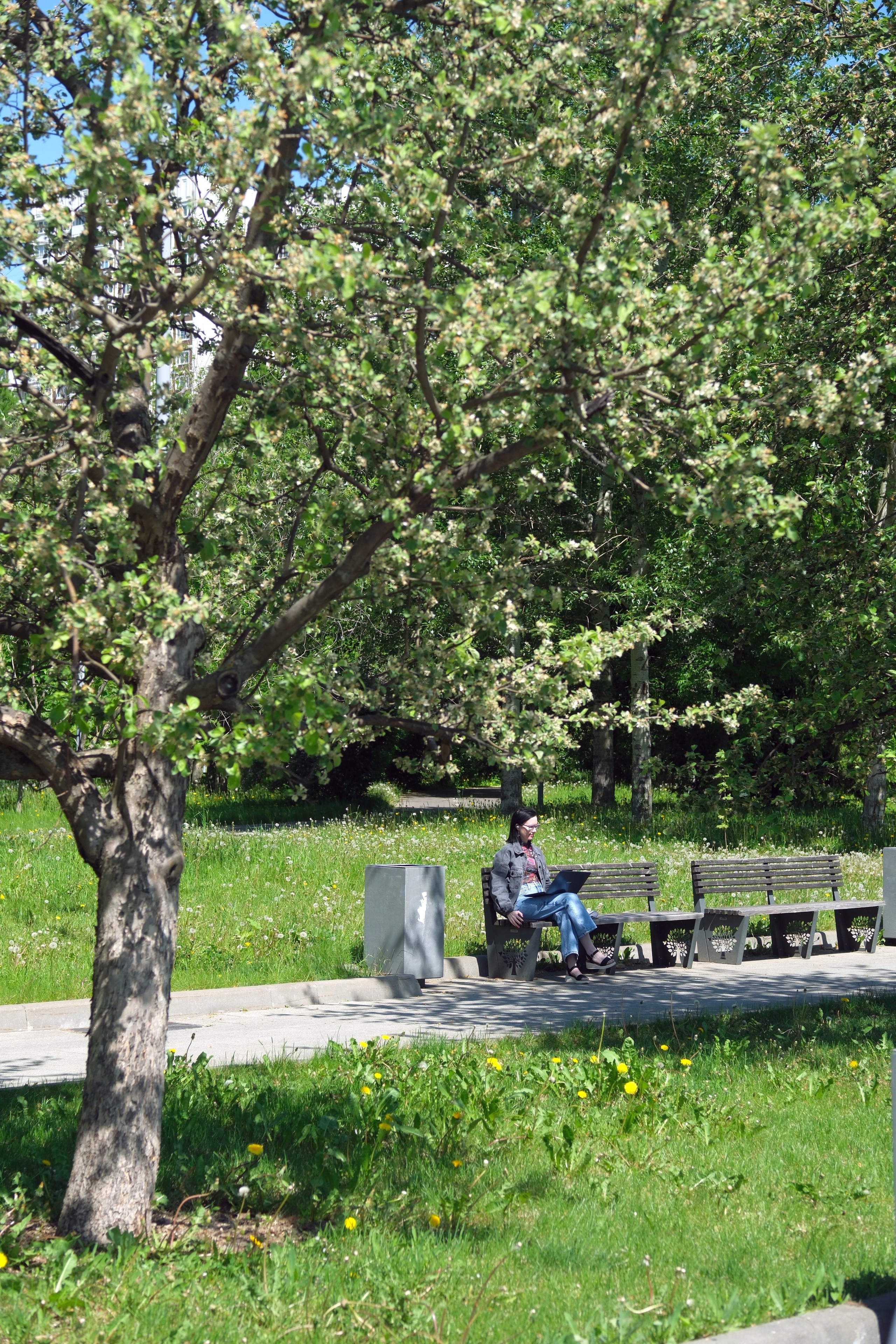 Парк 850 лет Москве. Улица, люди, жизнь…