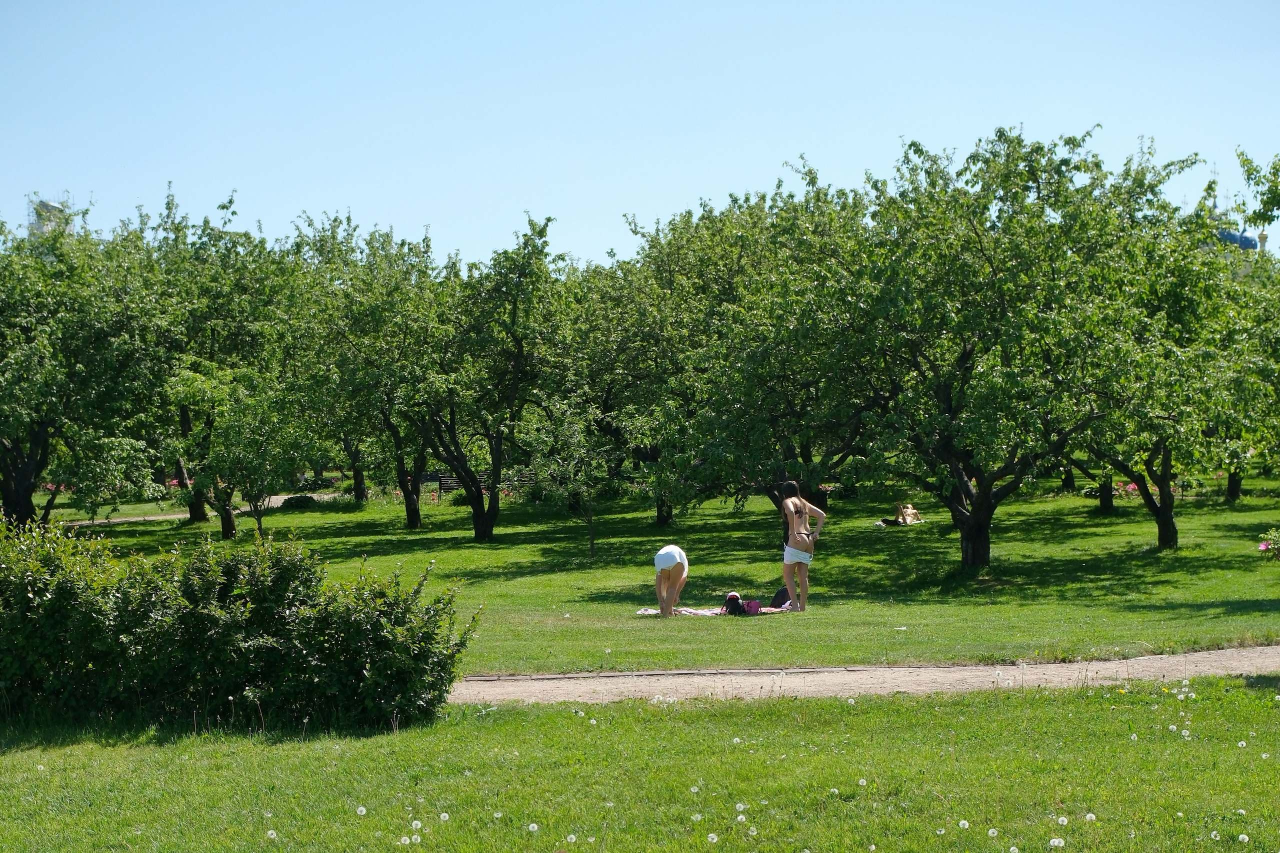 Коломенское 2024. Улица, люди, жизнь…