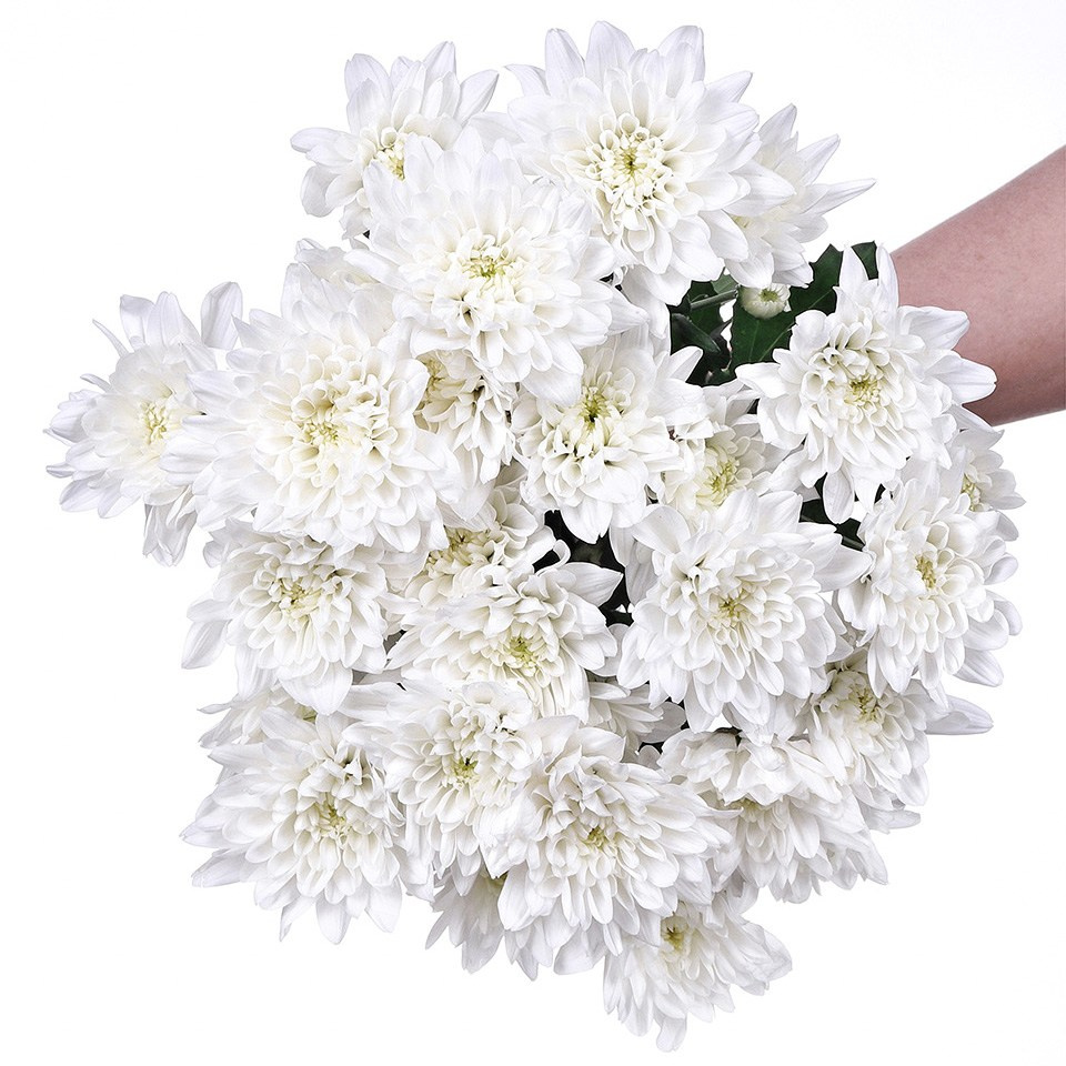 Фотосъёмка букетов и живых цветов для магазинов и службы доставки