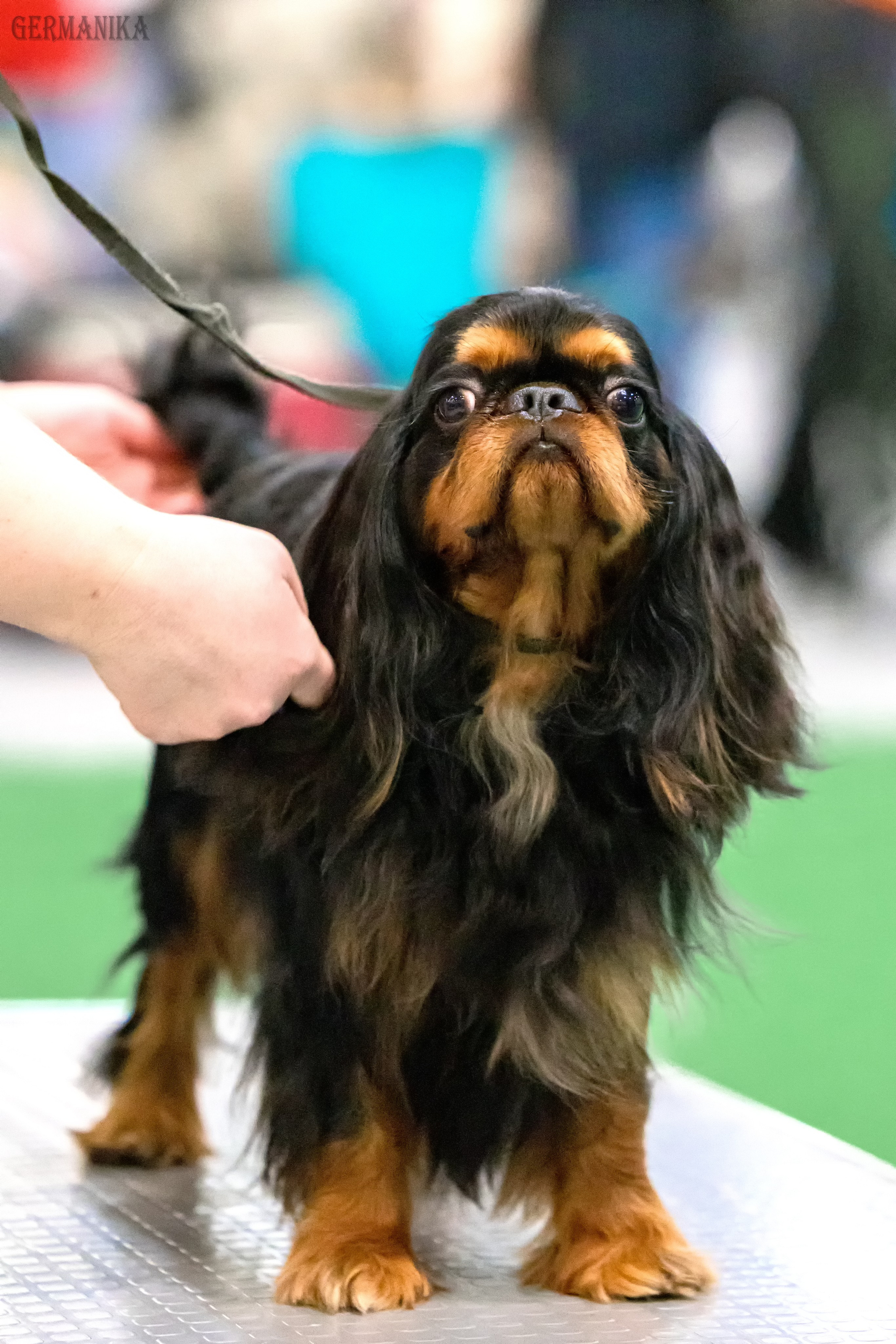 Сабанеевка 26-27.01.2024