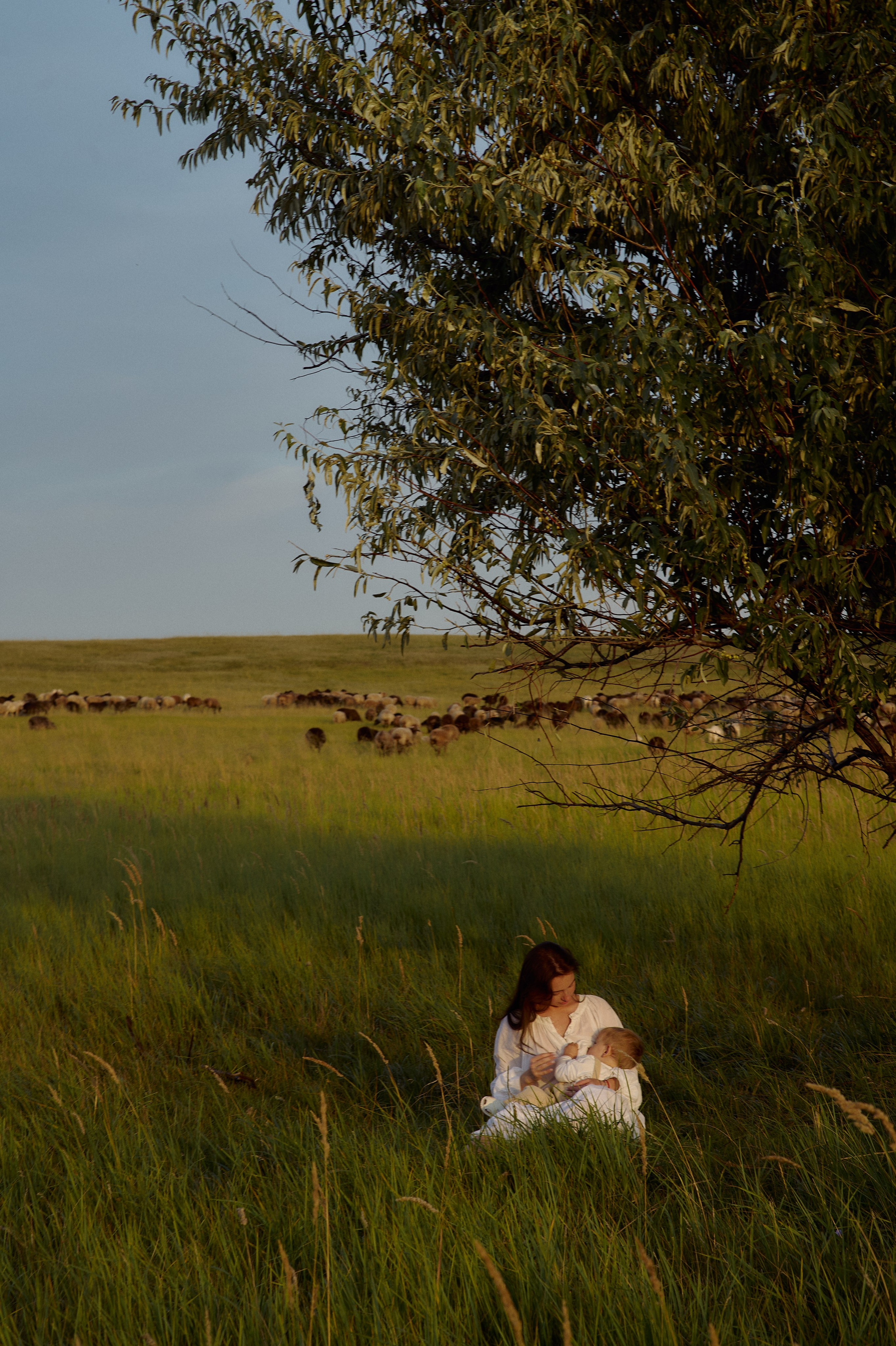 Шамиль, Аня и Марс в поле с барашками. Семейный и свадебный lifestyle-фотограф в Москве Мария Петрова