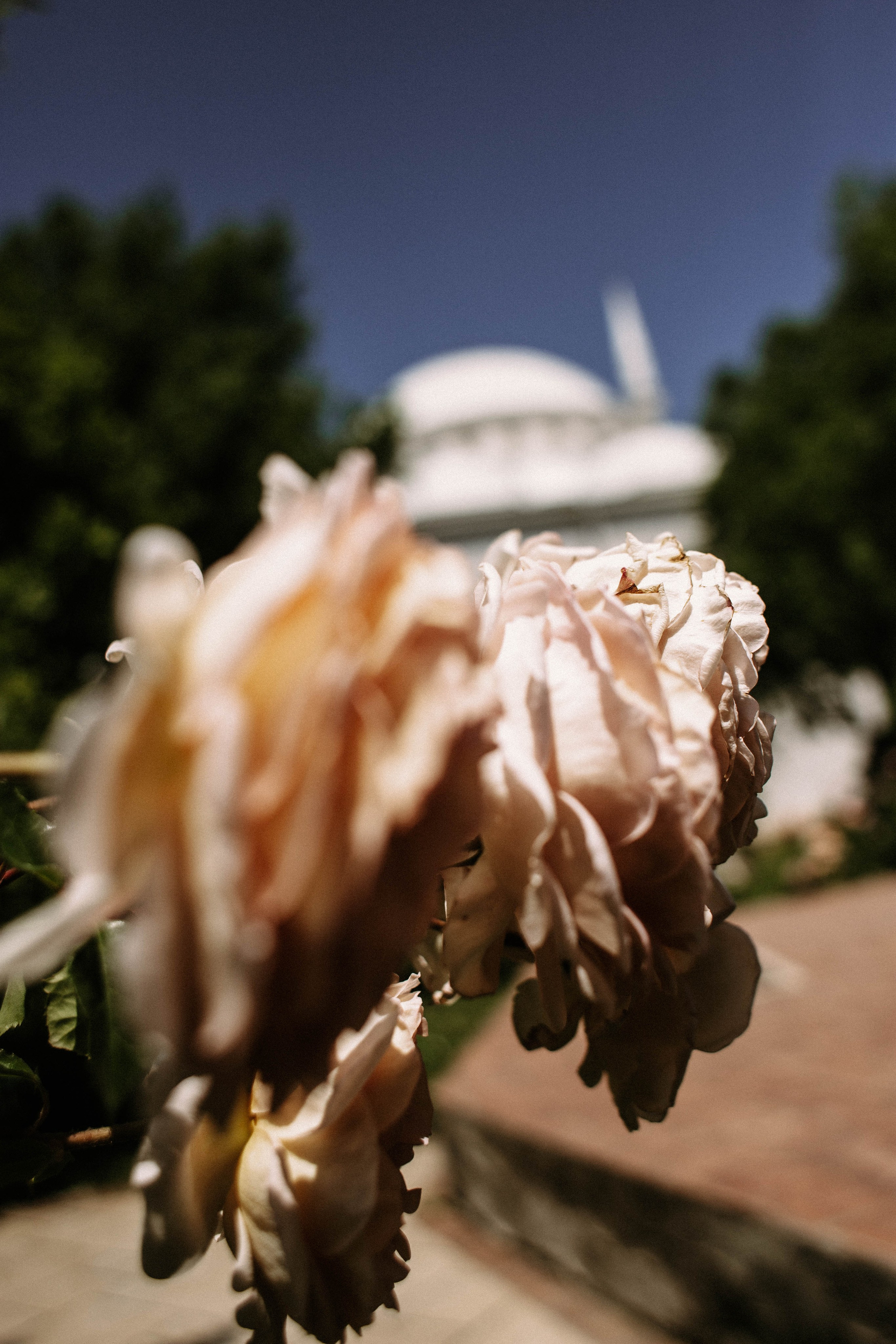 Дагестан. Чечня. 2024. Фотограф в Нижнем Новгороде