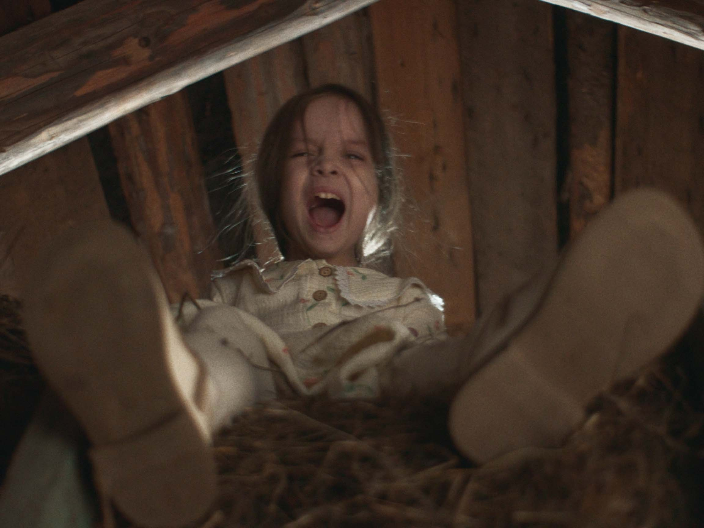 Розы Анны. Цветокоррекция видео