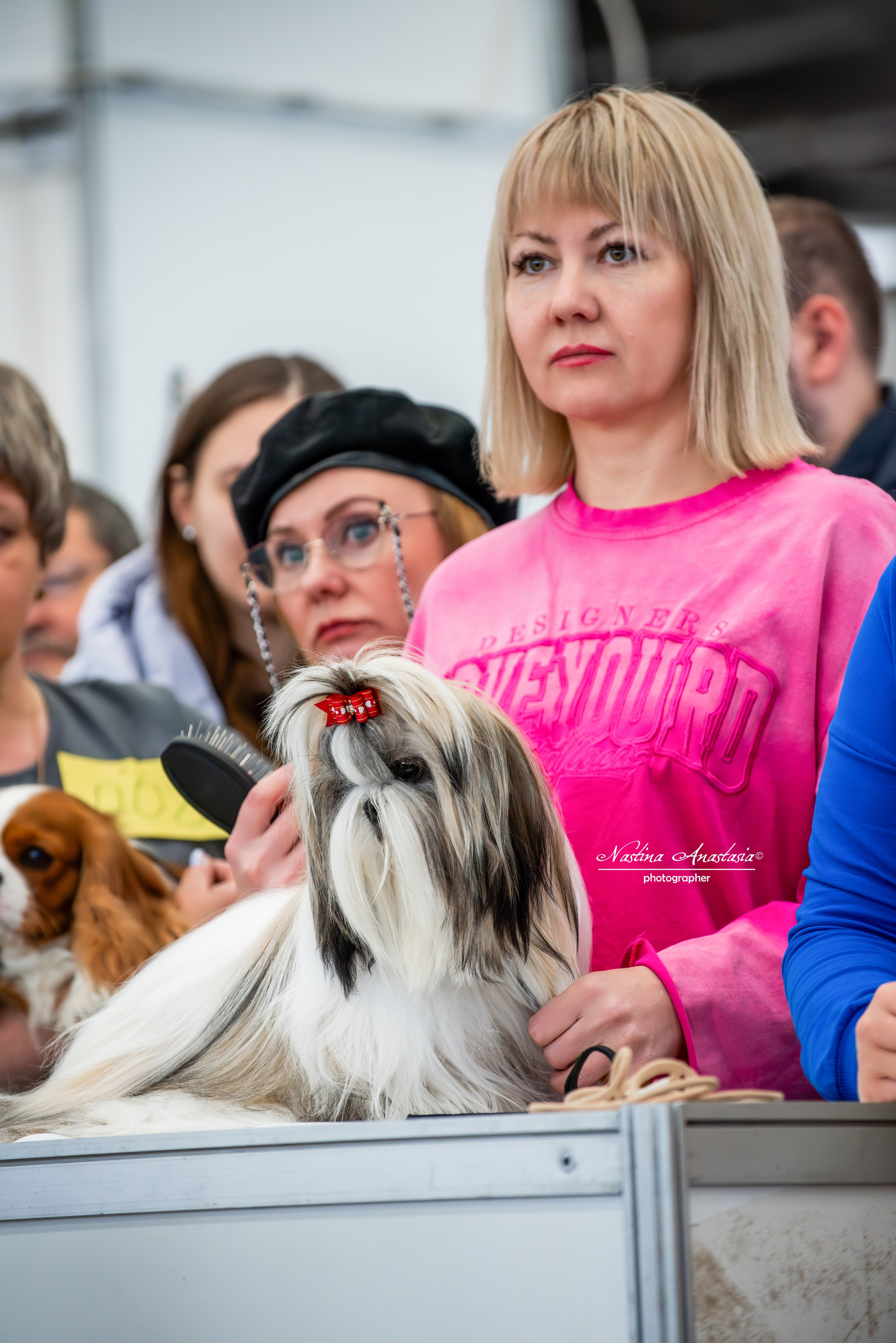 Выставки. Фотограф — Анималист