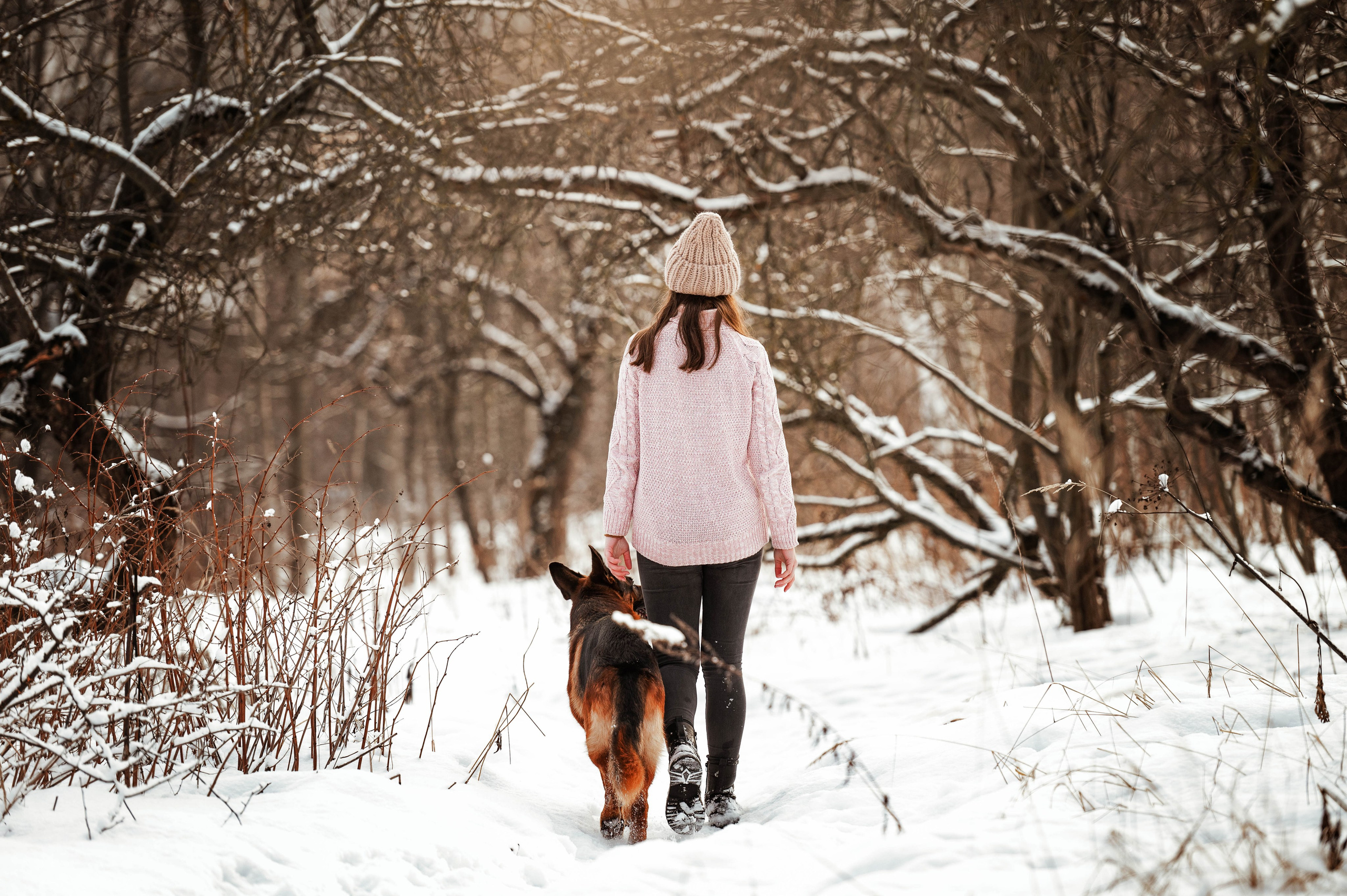 Вольт. Фотограф-анималист