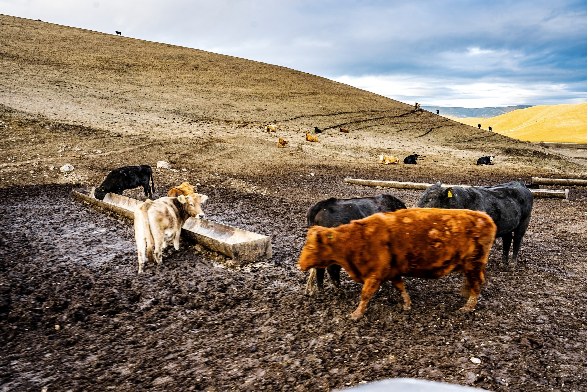 Путешествие на Кавказ в 2025 году. Внедорожные путешествия — OFFROADTRIP