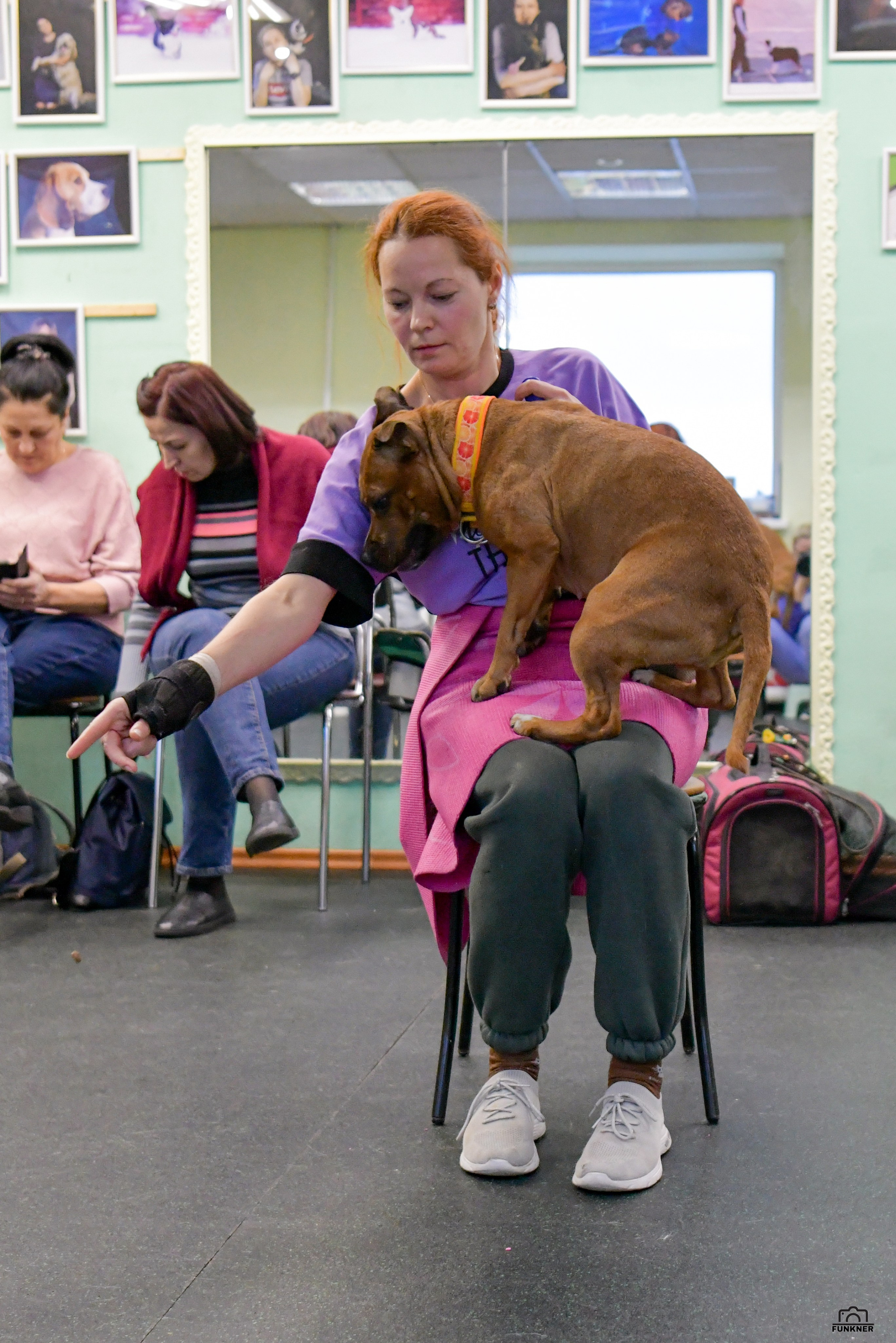 Кинологический клуб «Бодрый хвост». Свой взгляд через объектив