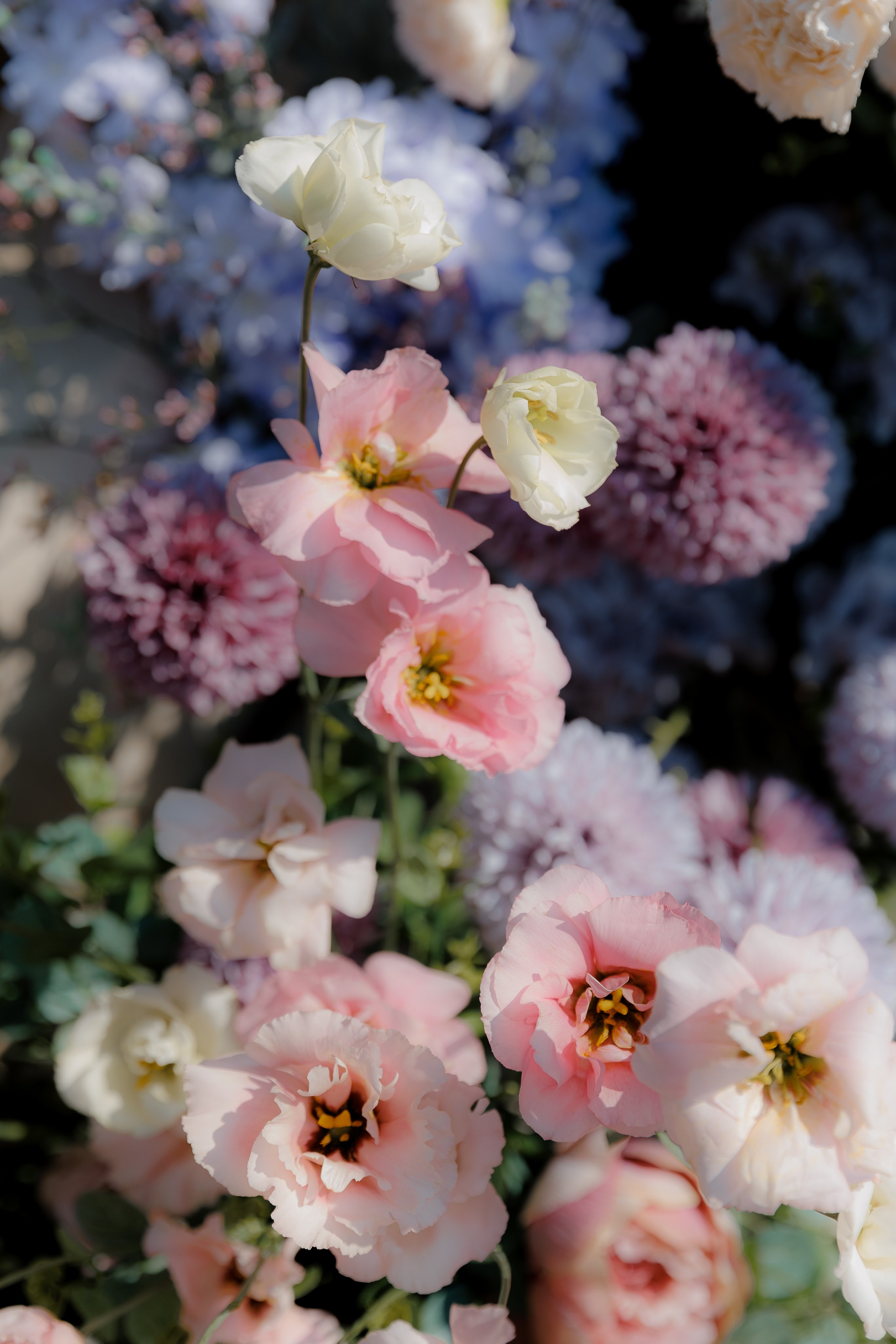 Свадьба в Сенешаль. Свадебный фотограф Екатерина Тимукина