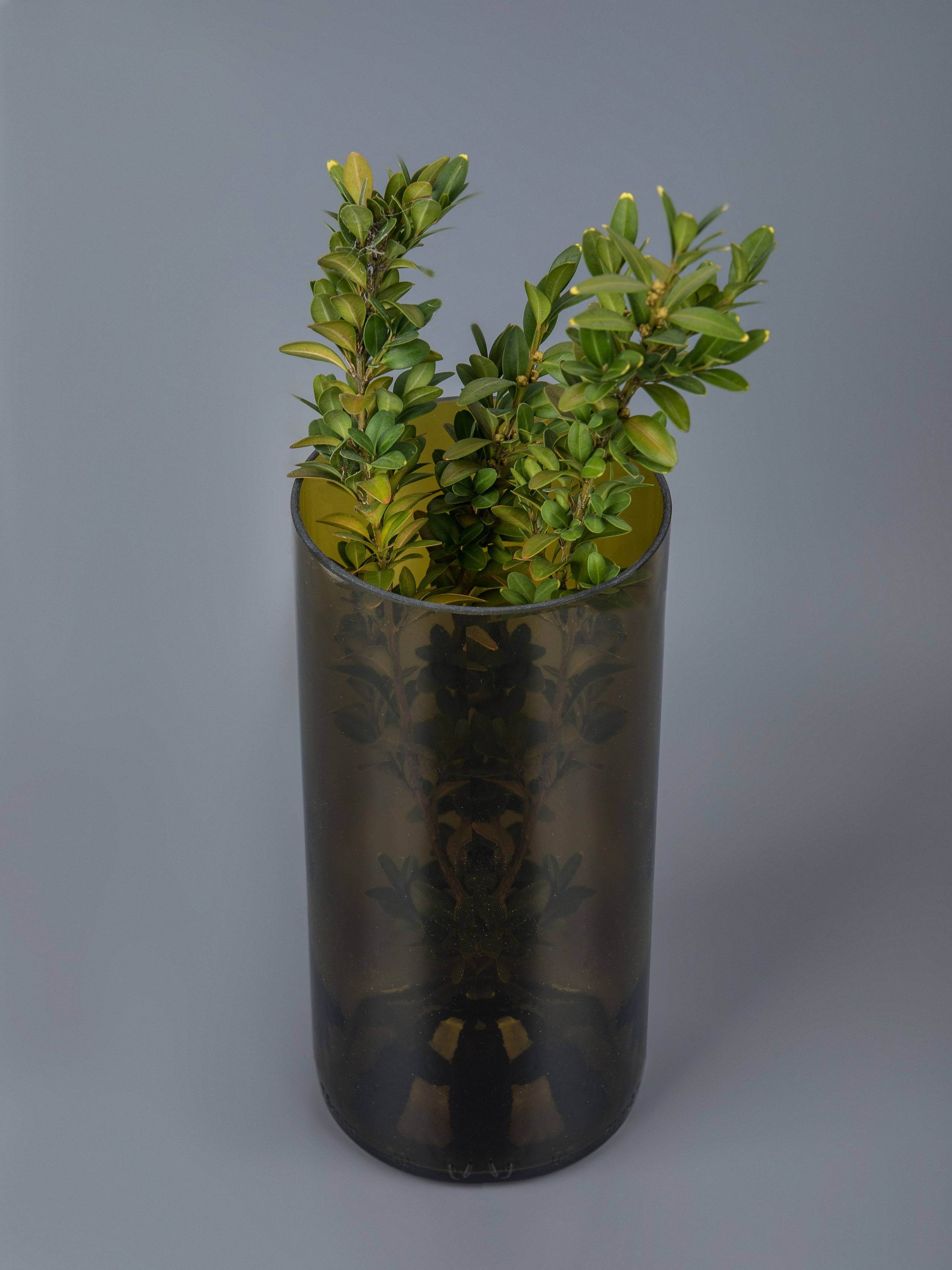 Полбутылки. Предметный и семейный фотограф в Санкт-Петербурге Катерина Стеклова