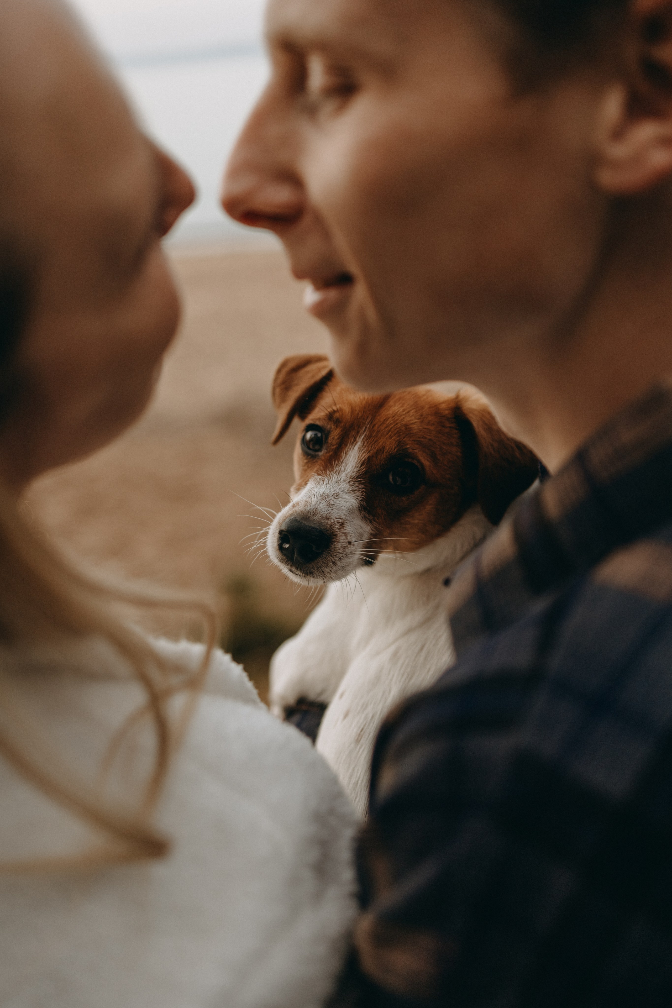 Лея и ее семья. Фотограф — Анималист | Санкт-Петербург