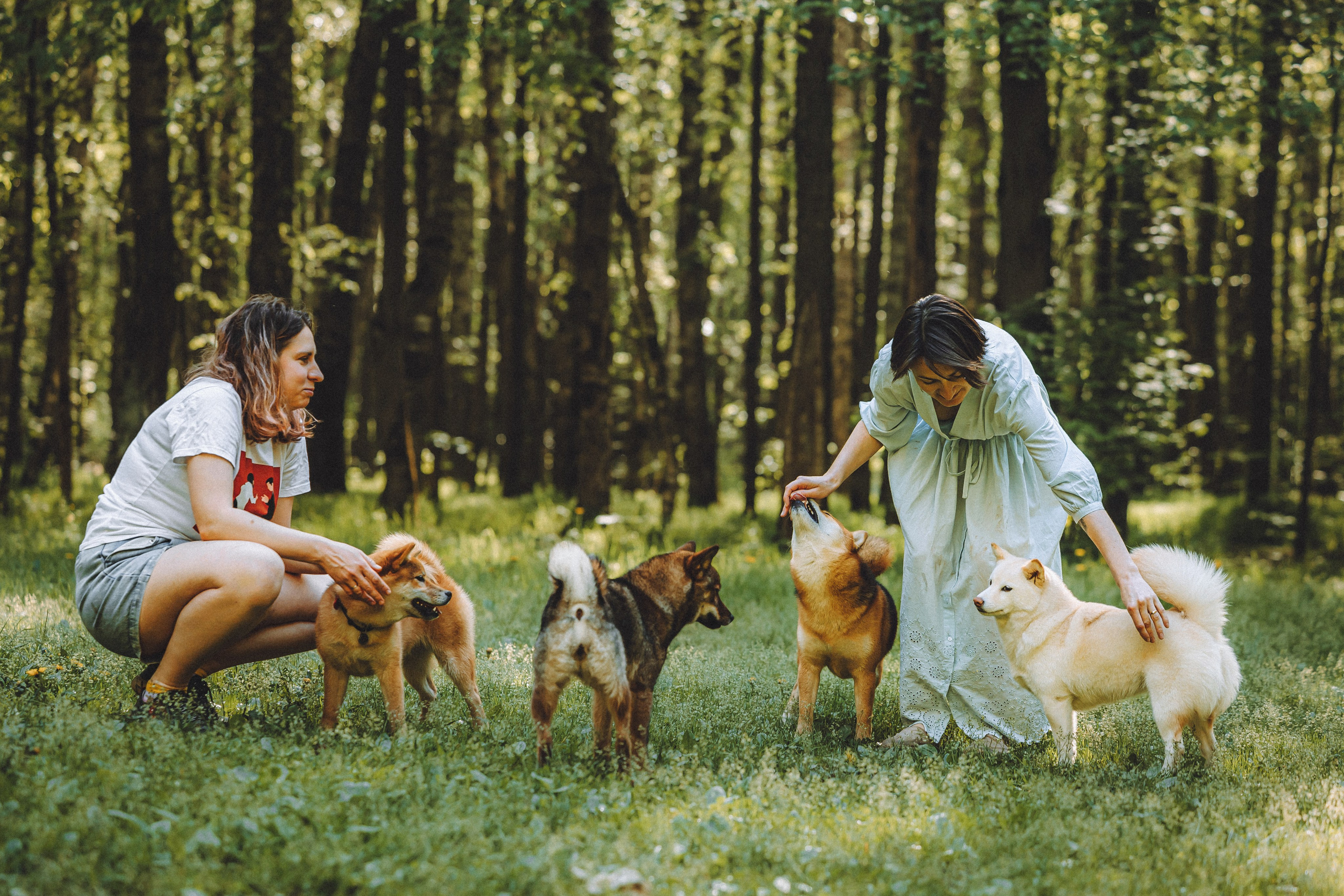 Шед, Цири, Чиби, Цера и их семья