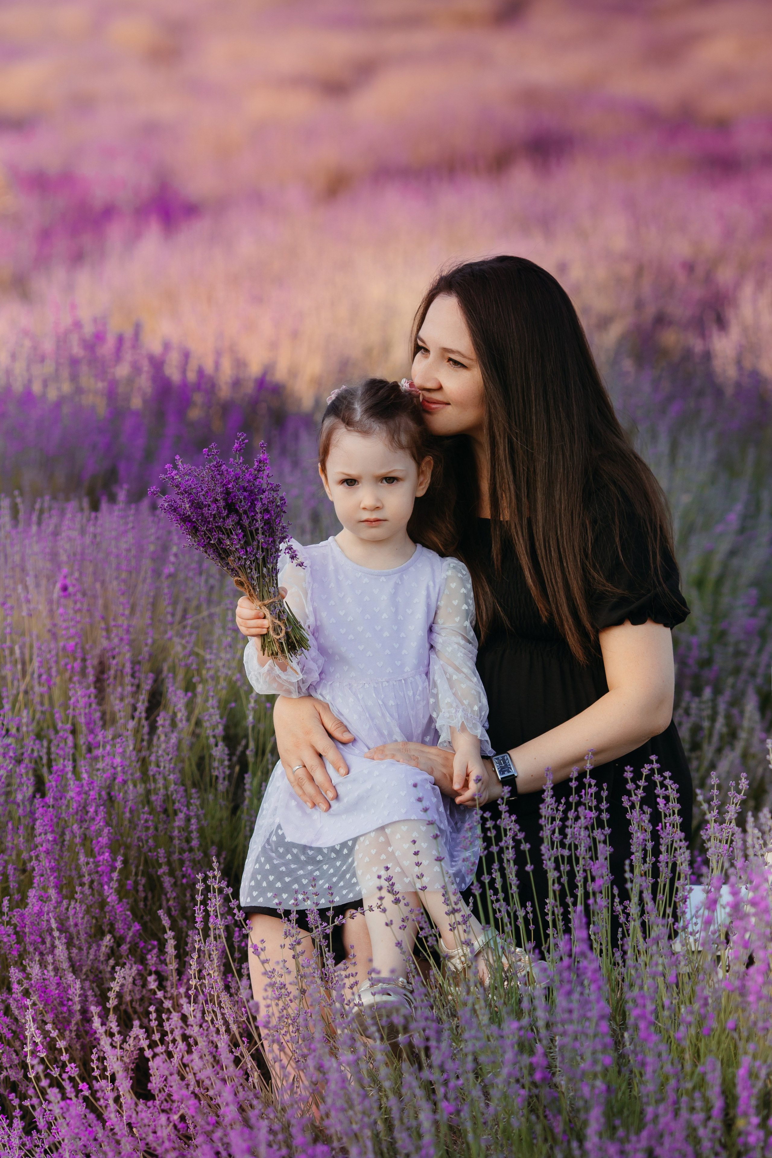 Лавандовые мотивы. Фотограф Новороссийск