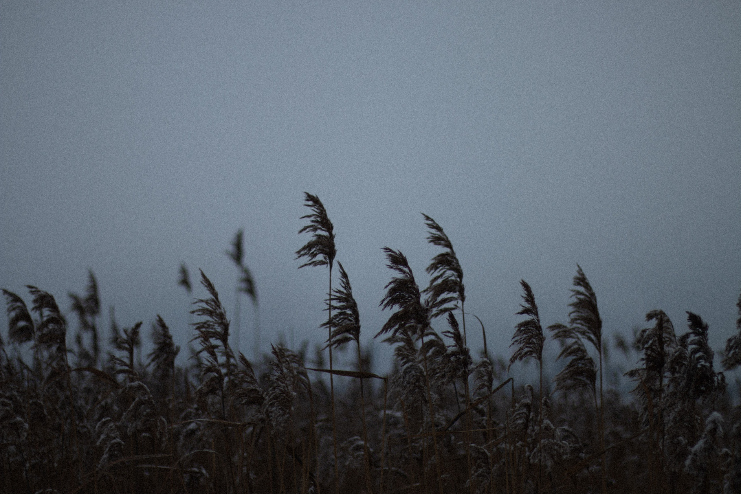 Интимный пейзаж. Олег Романов. Мастер фото по спорту