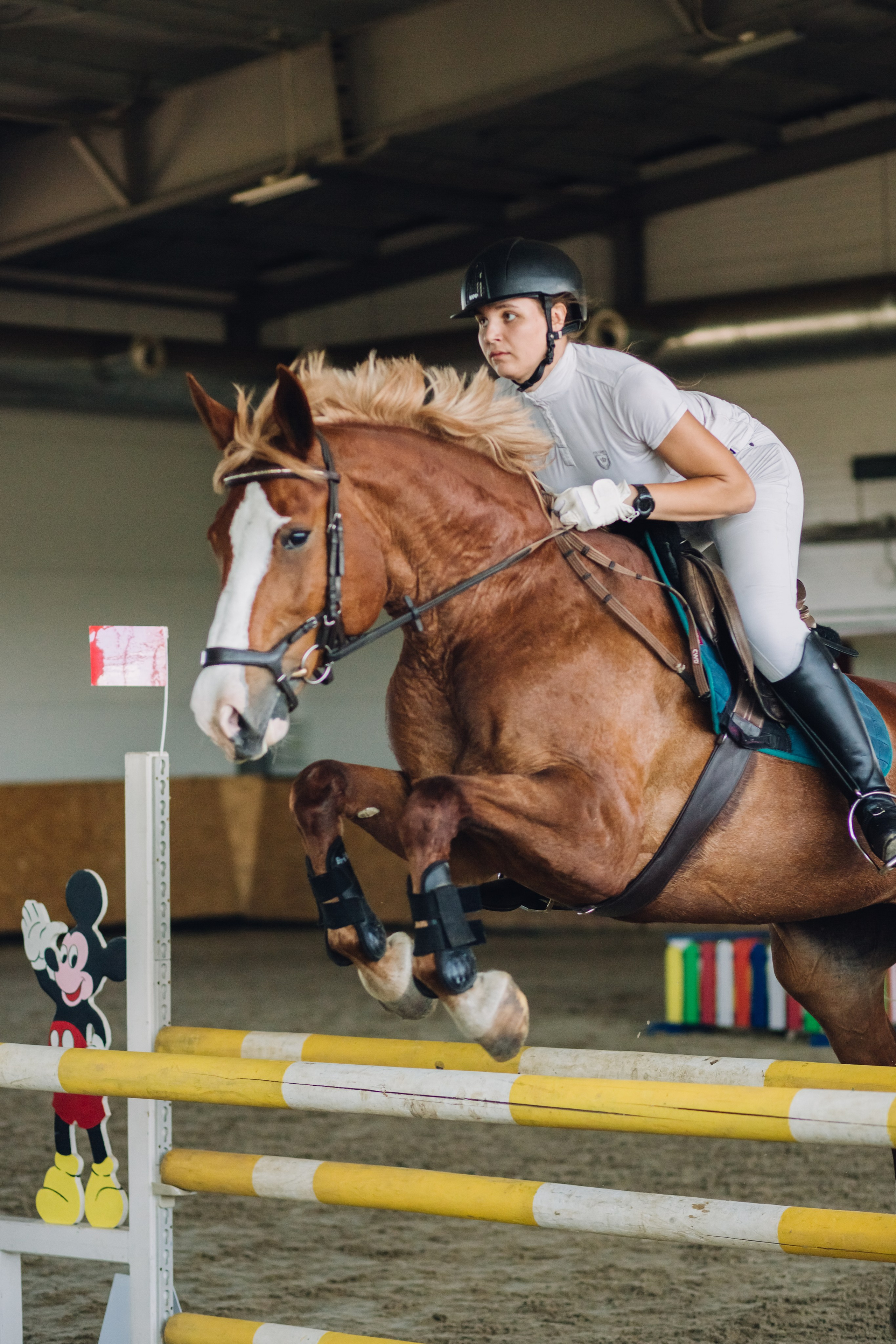 Соревнования. Ольга Белова. Портреты с лошадьми. Конная фотография