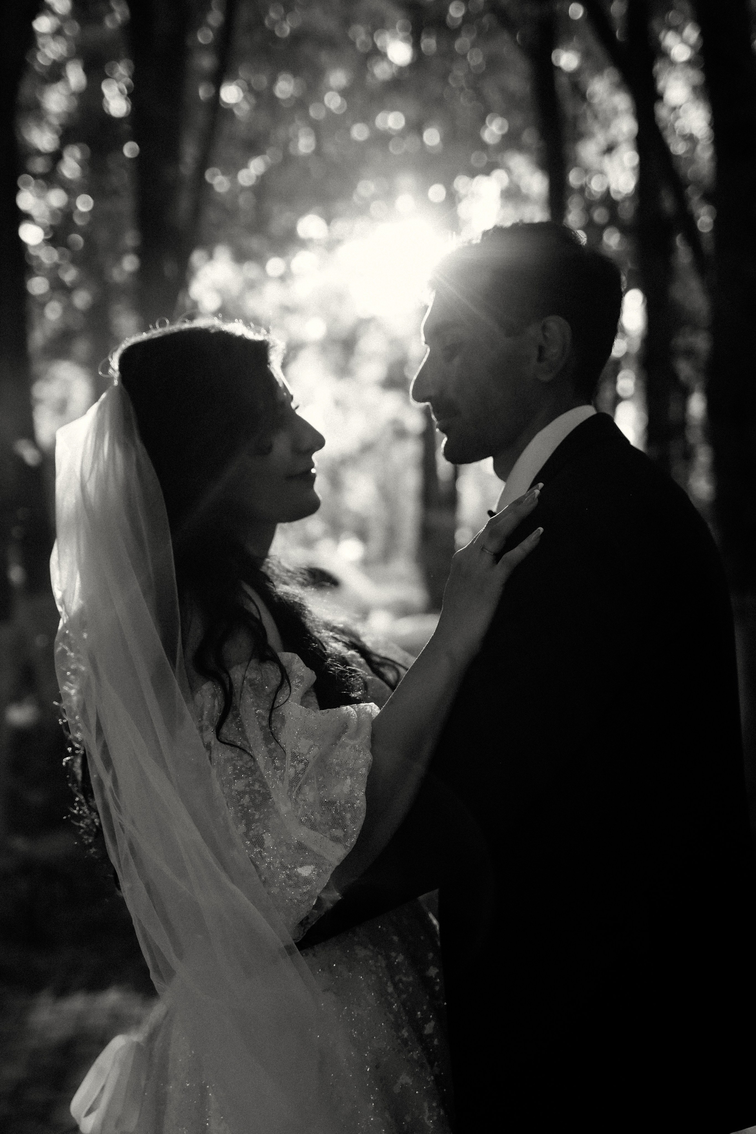 Алиса & Вааг. Фотосъемка и видеосъемка свадеб Липецк