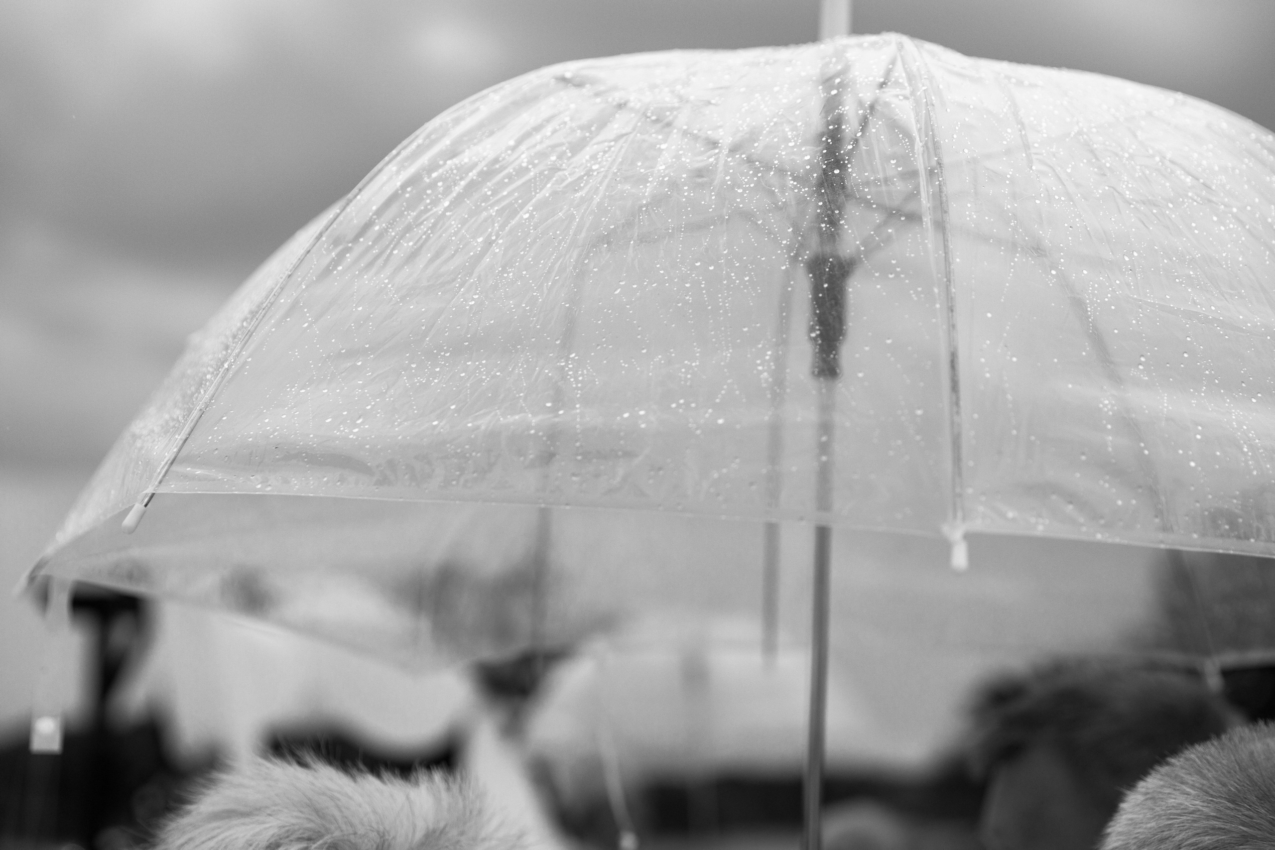 Свадьба Екатерины и Сергея. Стиль и нежность