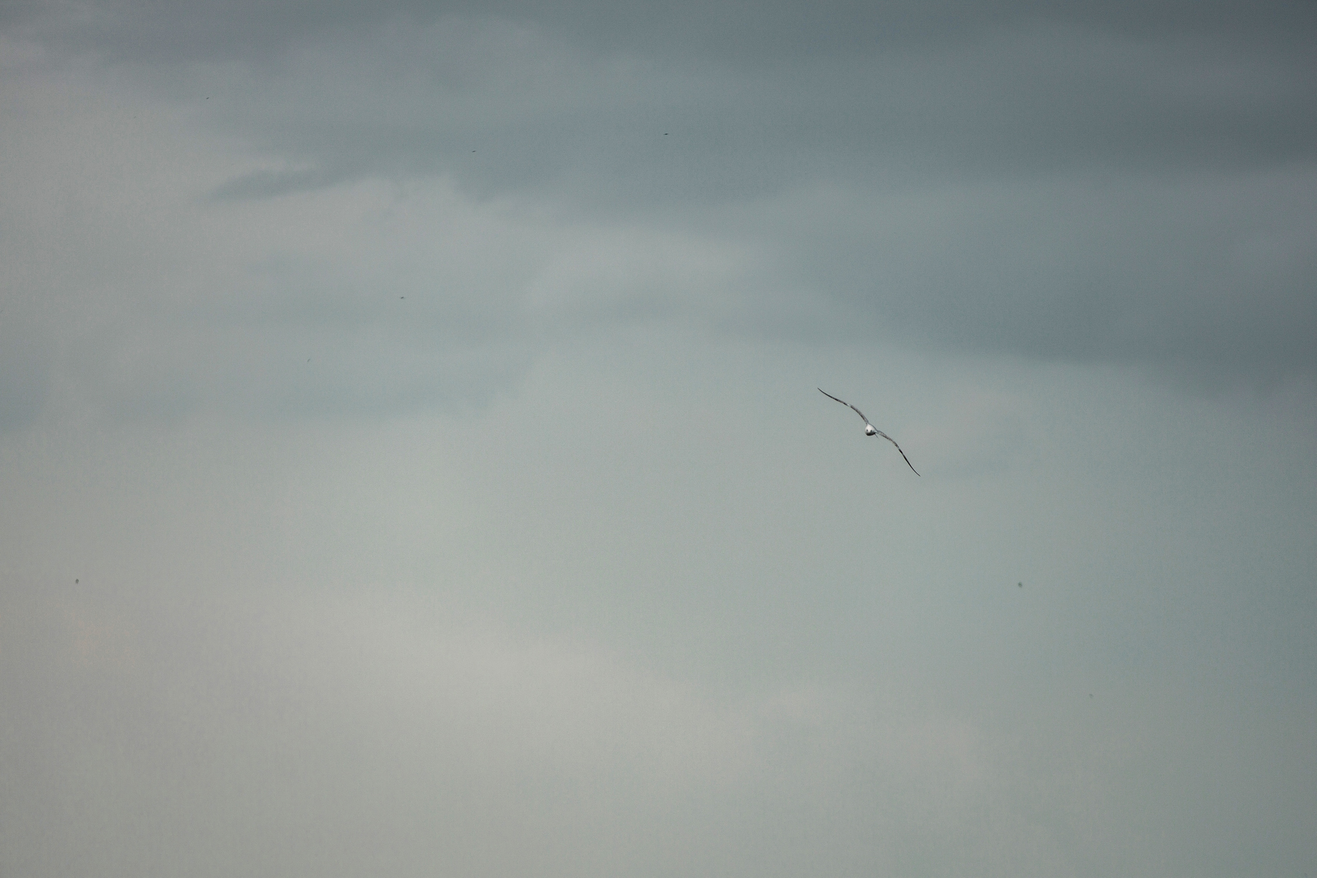 Свадьба Екатерины и Сергея. Стиль и нежность